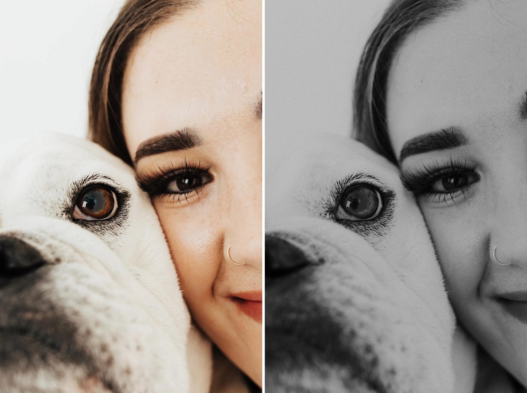 Alicia+lucia+photography+-+portrait+session+-+dog+portrait+photography+-+studio+photography_0027.jpg