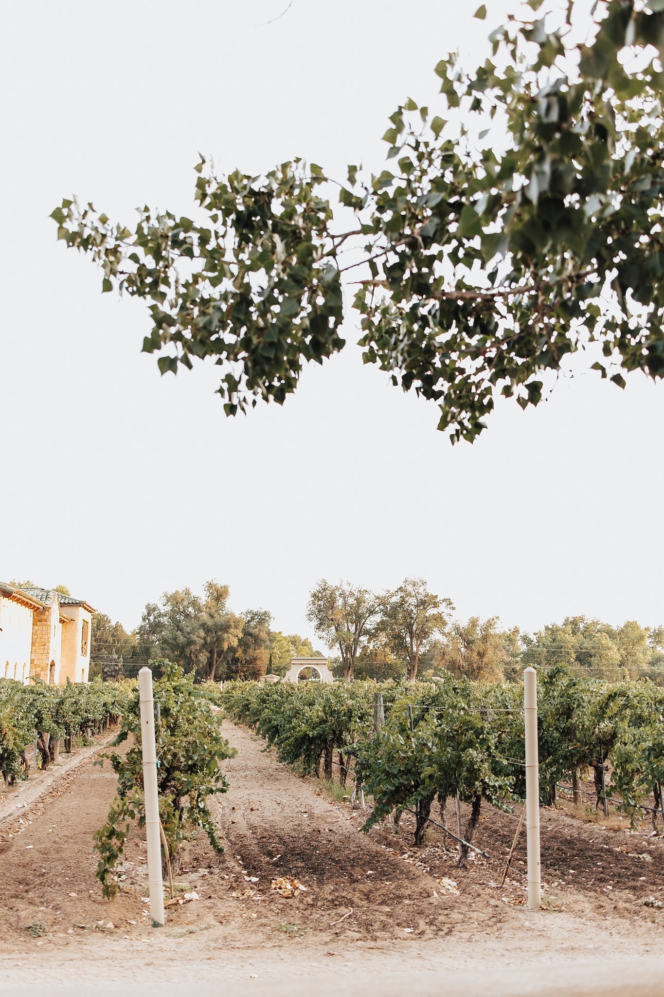 Alicia+lucia+photography+-+winery+wedding+-+casa+rondena+wedding+-+napa+wedding+-+sonoma+wedding_0035.jpg