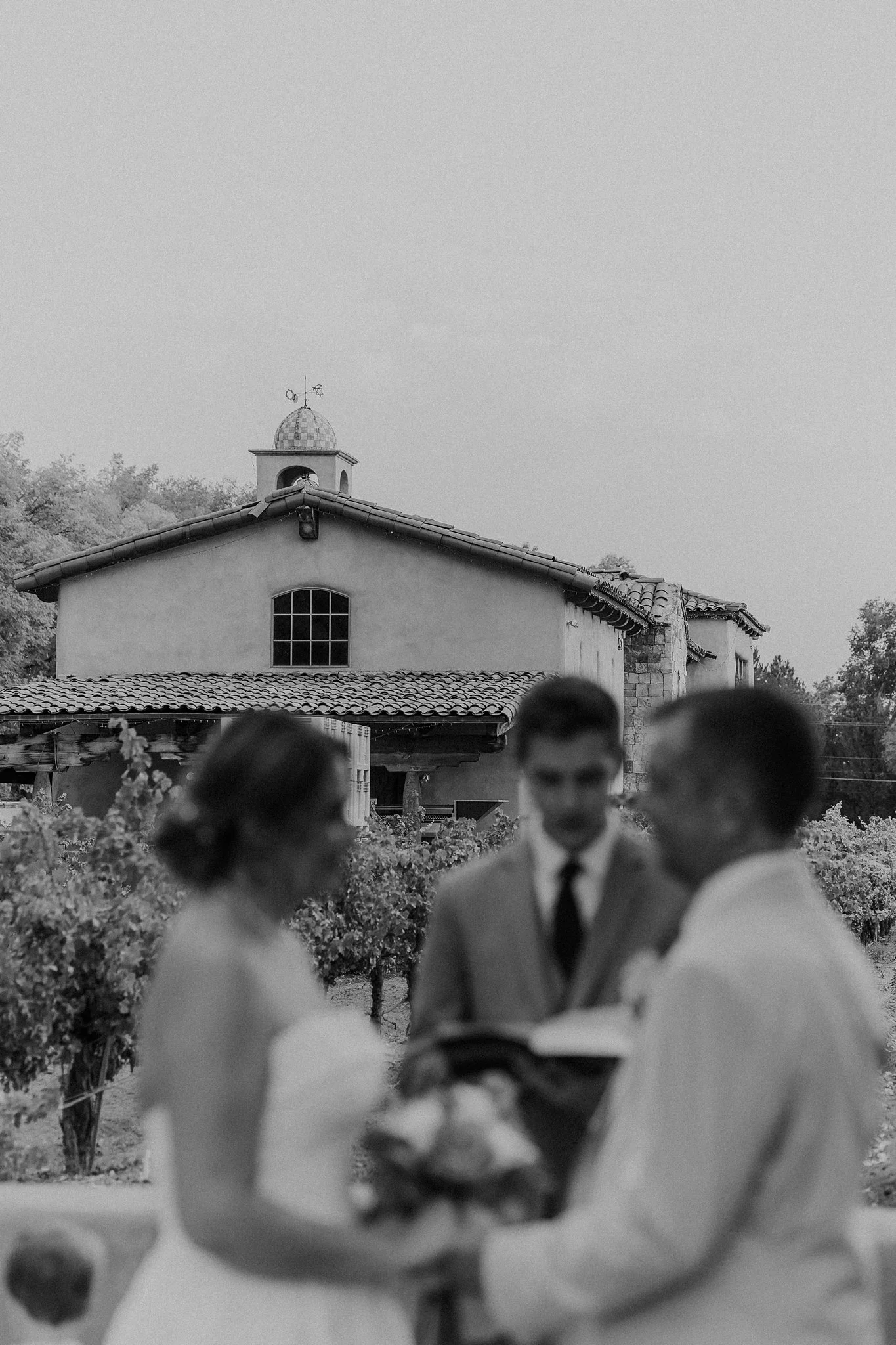 Alicia+lucia+photography+-+winery+wedding+-+casa+rondena+wedding+-+napa+wedding+-+sonoma+wedding_0047.jpg