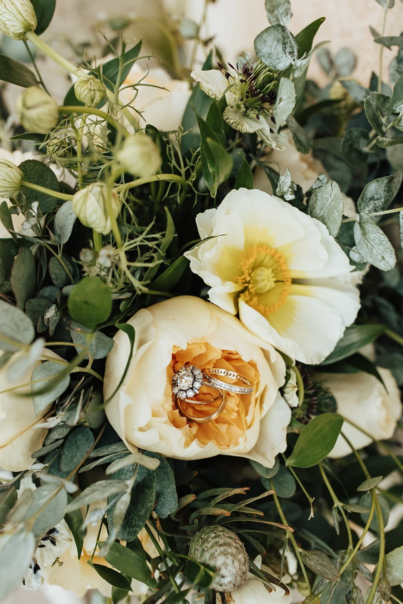 Alicia+lucia+photography+-+los+poblanos+farm+-+los+poblanos+elopement+-+los+poblanos+wedding_0002.jpg