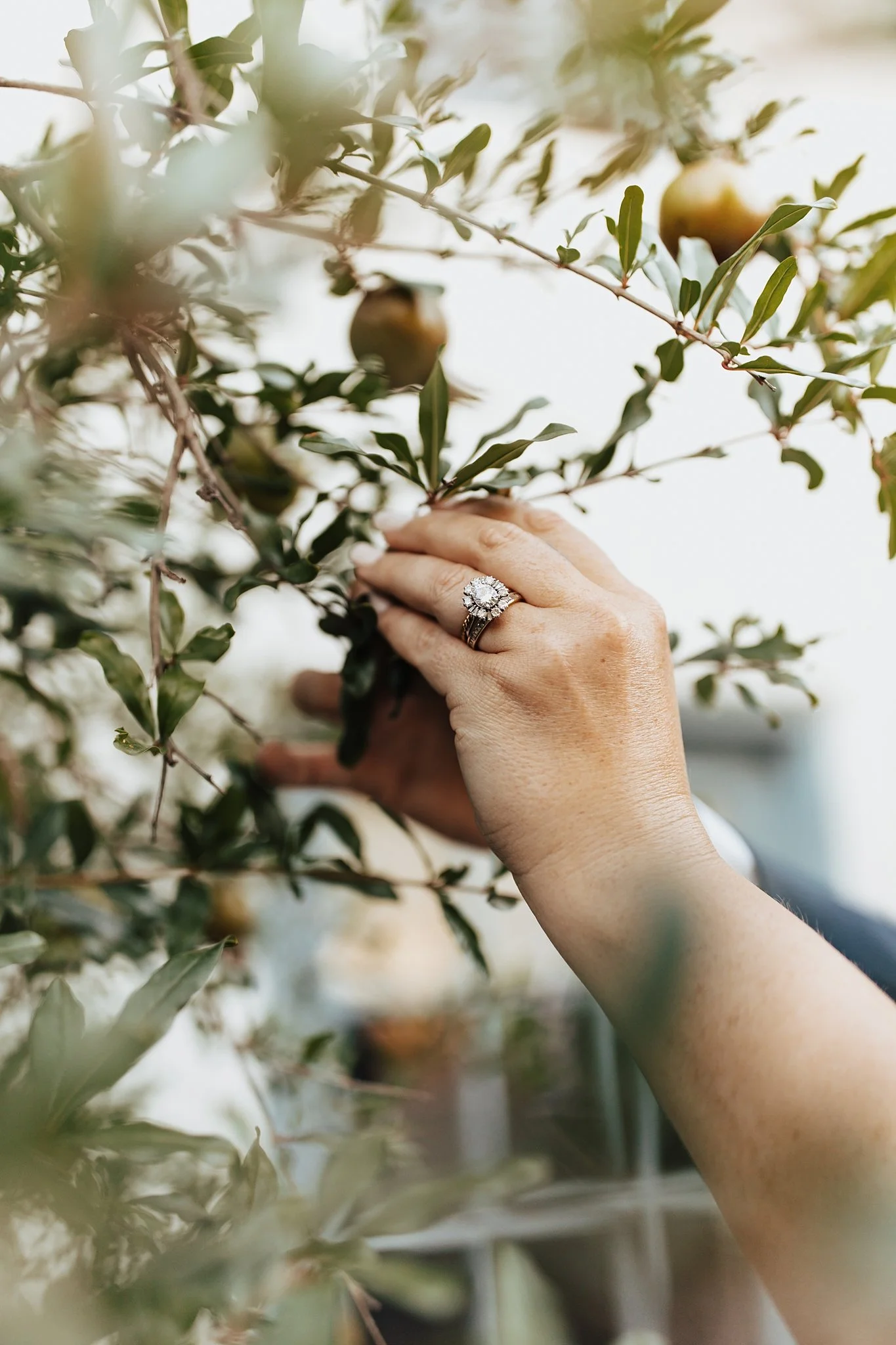 Alicia+lucia+photography+-+los+poblanos+farm+-+los+poblanos+elopement+-+los+poblanos+wedding_0018.jpg