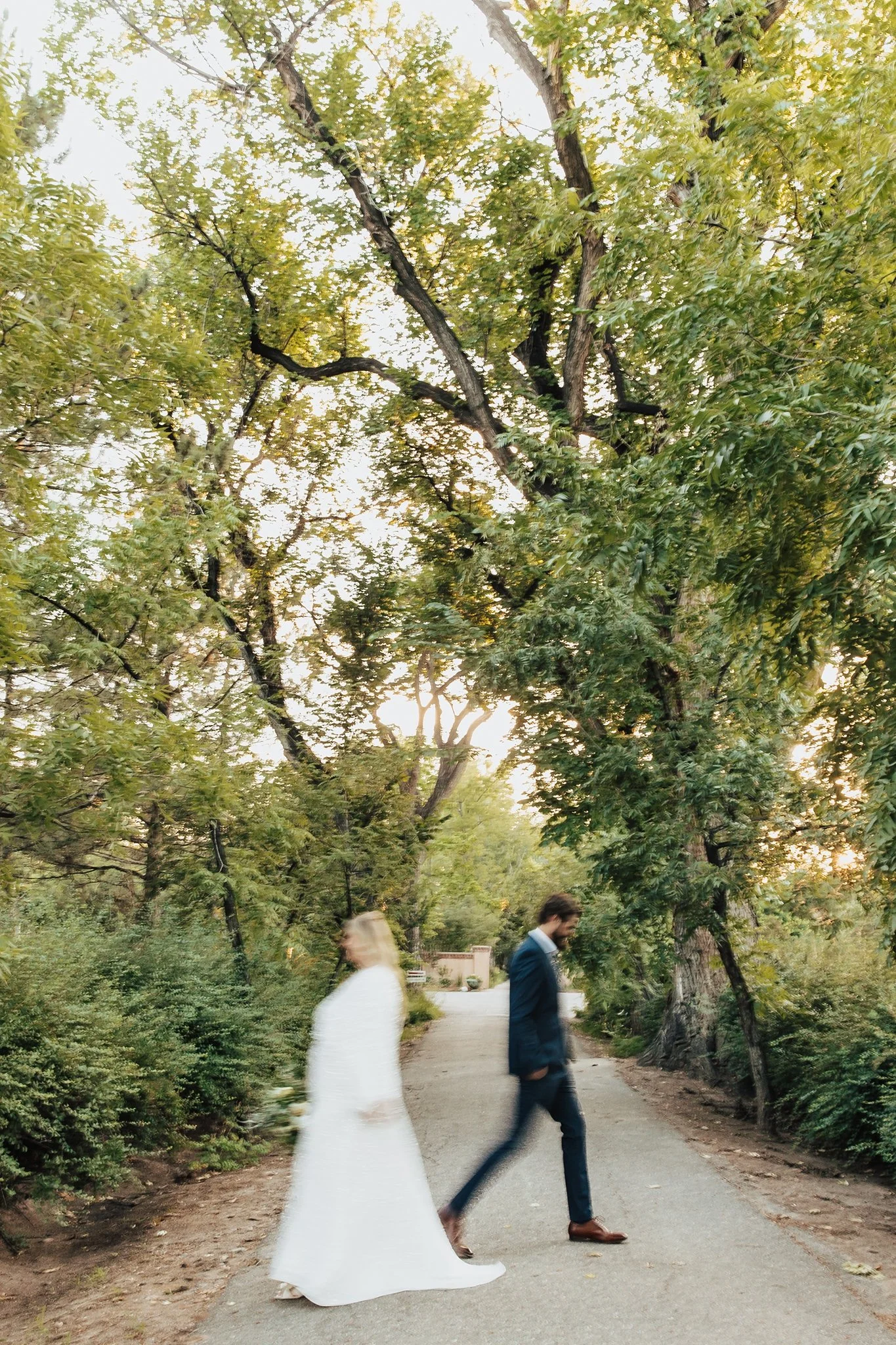 Alicia+lucia+photography+-+los+poblanos+farm+-+los+poblanos+elopement+-+los+poblanos+wedding_0058.jpg