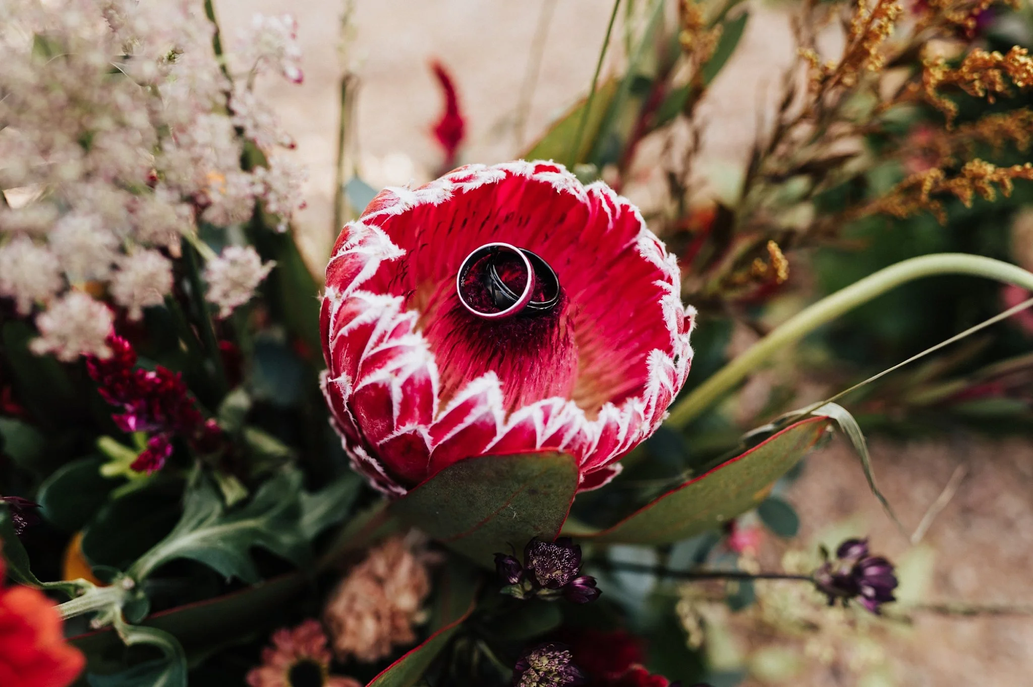 Alicia+lucia+photography+-+santa+fe+botanical+garden+-+santa+fe+botanic+garden+-+destination+wedding_0001.jpg