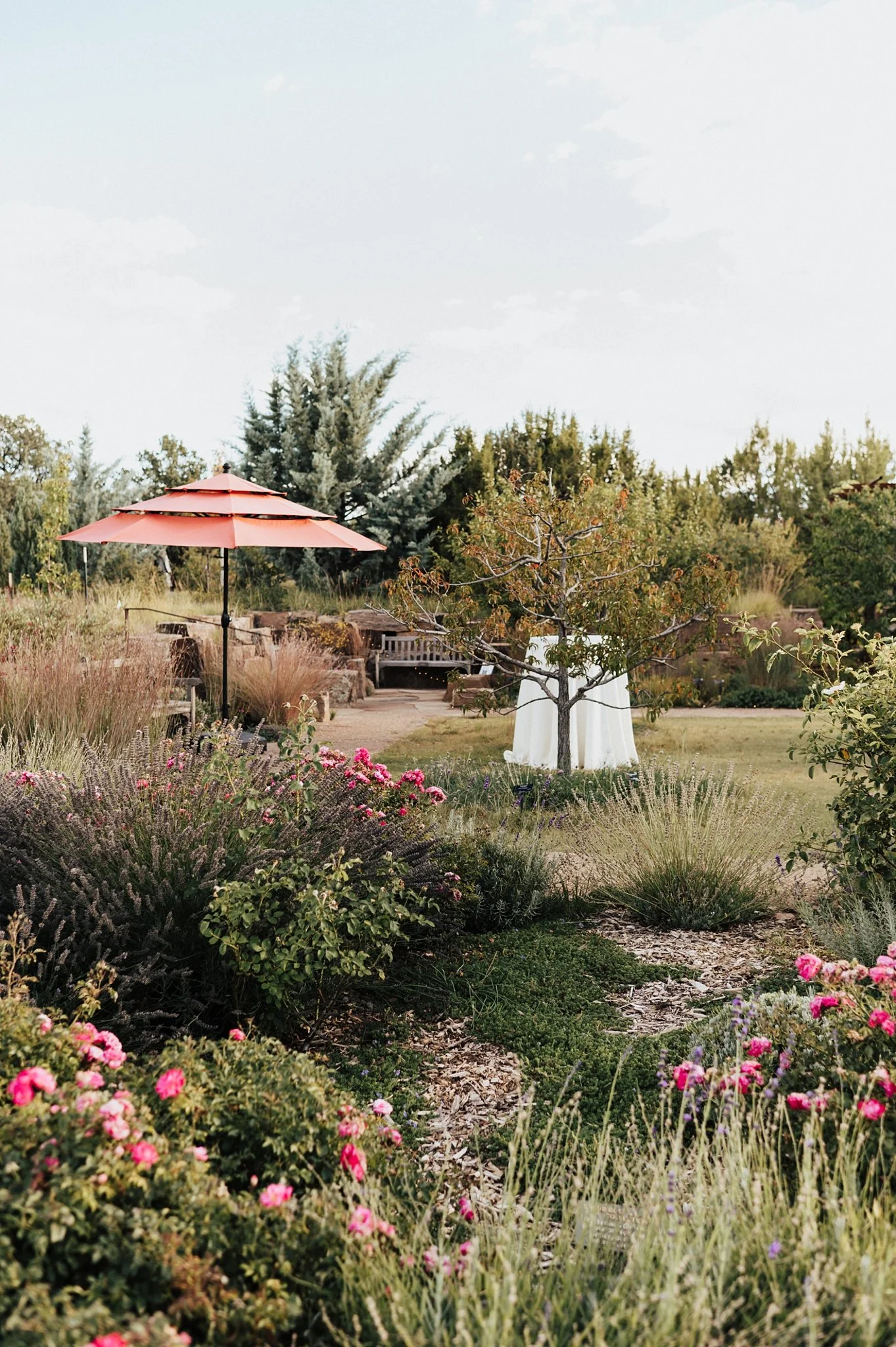Alicia+lucia+photography+-+santa+fe+botanical+garden+-+santa+fe+botanic+garden+-+destination+wedding_0002.jpg