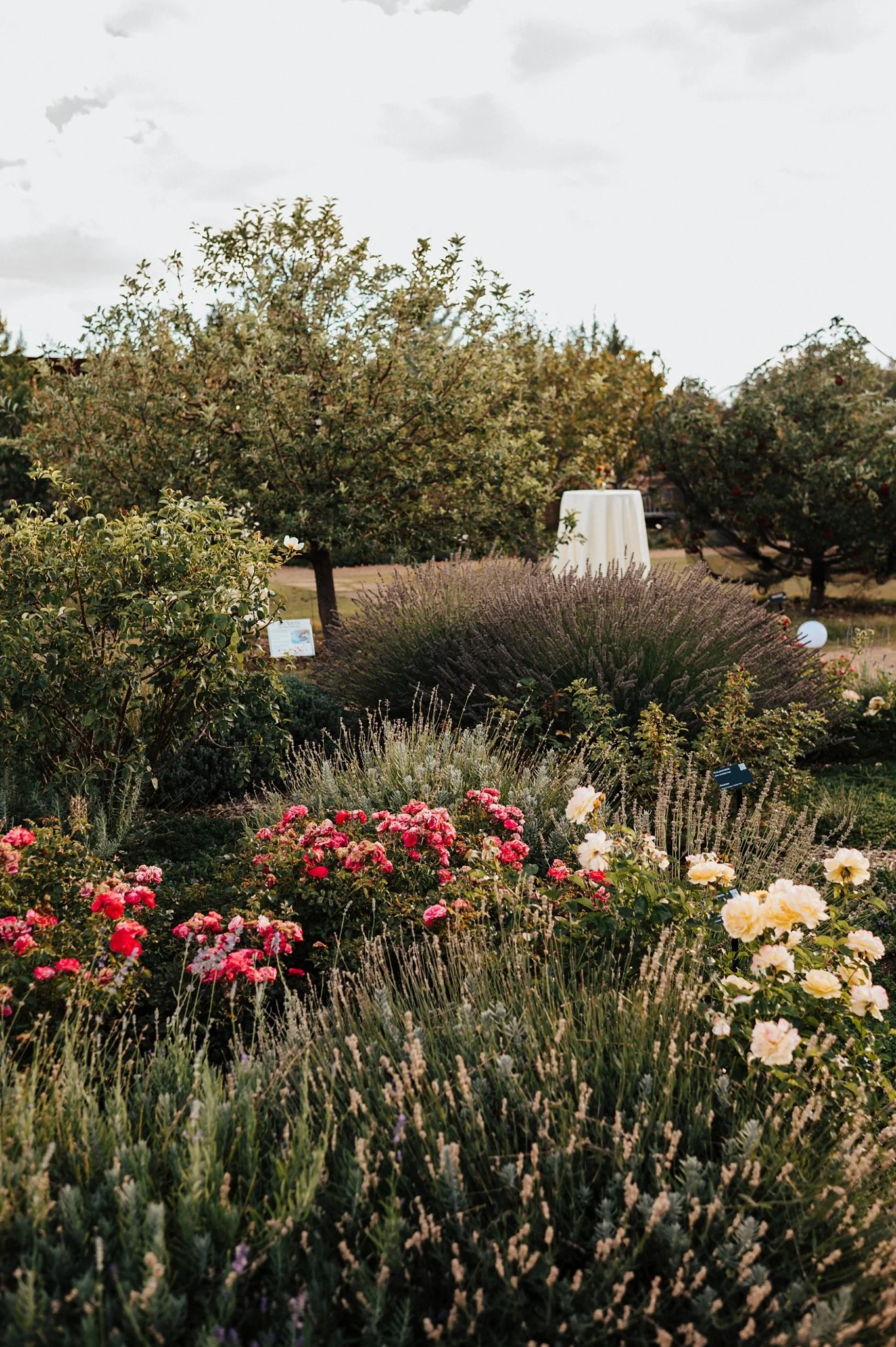 Alicia+lucia+photography+-+santa+fe+botanical+garden+-+santa+fe+botanic+garden+-+destination+wedding_0003.jpg
