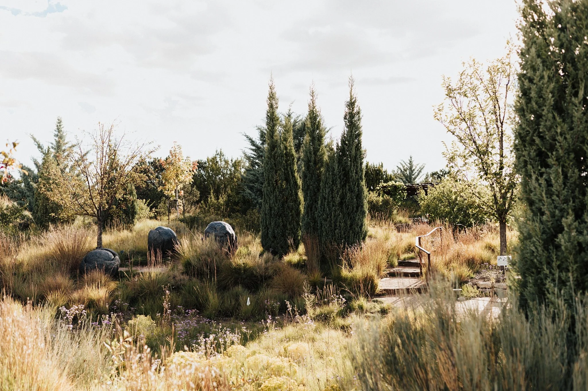 Alicia+lucia+photography+-+santa+fe+botanical+garden+-+santa+fe+botanic+garden+-+destination+wedding_0004.jpg