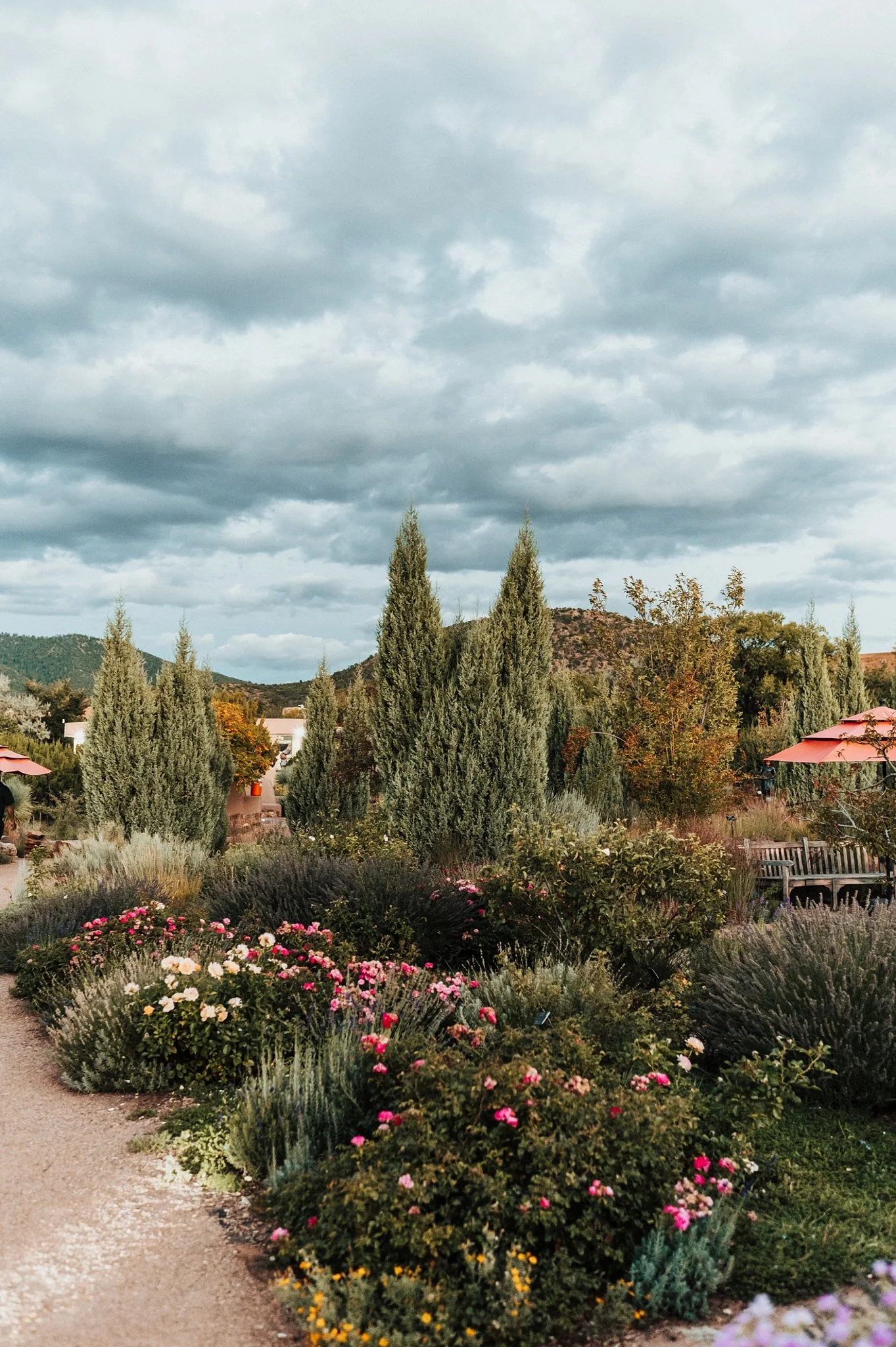 Alicia+lucia+photography+-+santa+fe+botanical+garden+-+santa+fe+botanic+garden+-+destination+wedding_0005.jpg