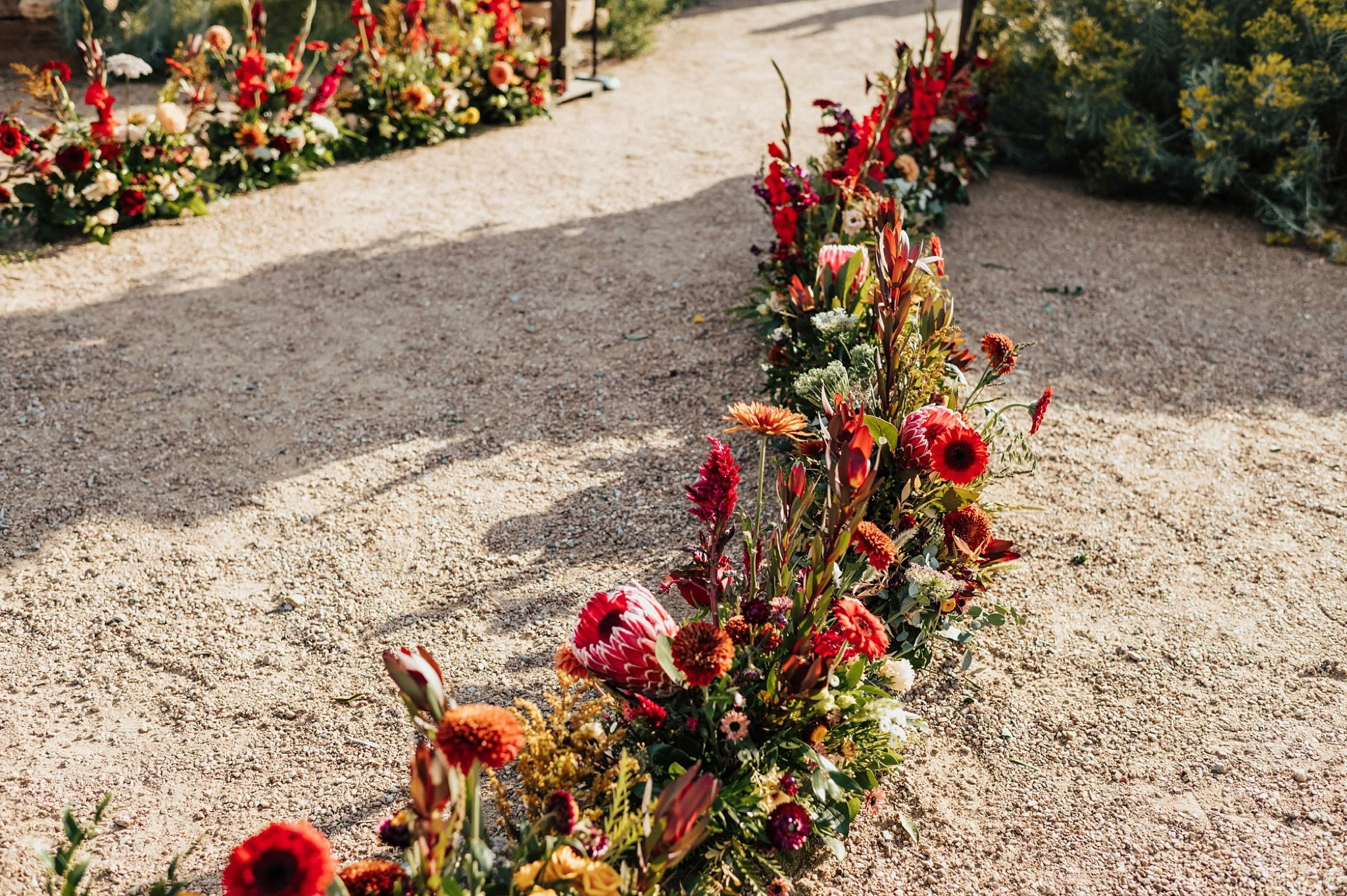 Alicia+lucia+photography+-+santa+fe+botanical+garden+-+santa+fe+botanic+garden+-+destination+wedding_0009.jpg