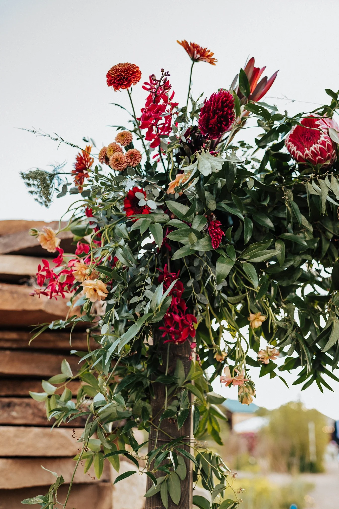Alicia+lucia+photography+-+santa+fe+botanical+garden+-+santa+fe+botanic+garden+-+destination+wedding_0010.jpg