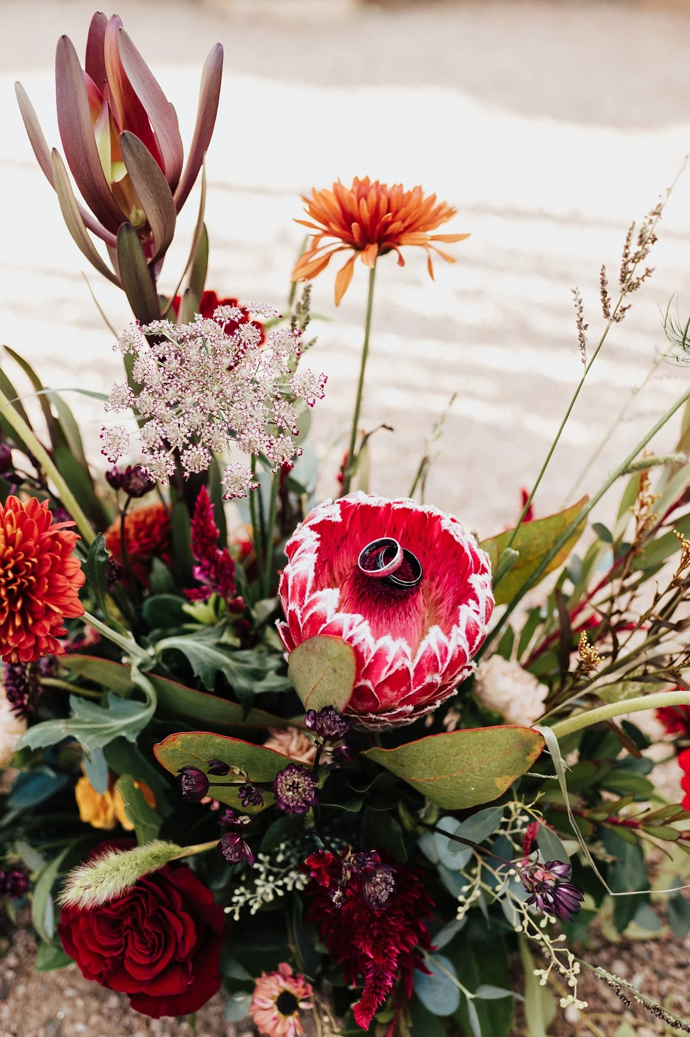 Alicia+lucia+photography+-+santa+fe+botanical+garden+-+santa+fe+botanic+garden+-+destination+wedding_0013.jpg