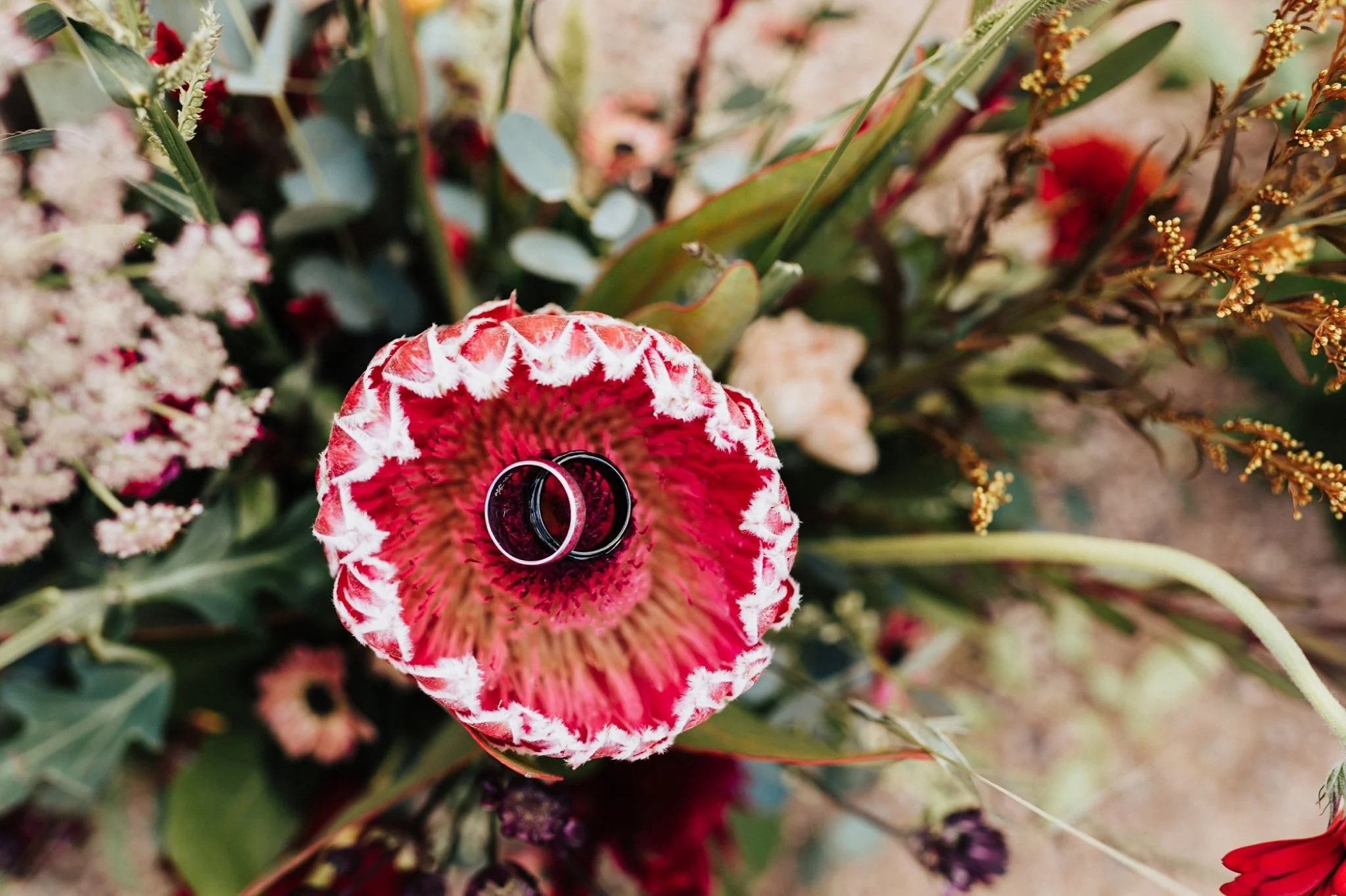 Alicia+lucia+photography+-+santa+fe+botanical+garden+-+santa+fe+botanic+garden+-+destination+wedding_0014.jpg