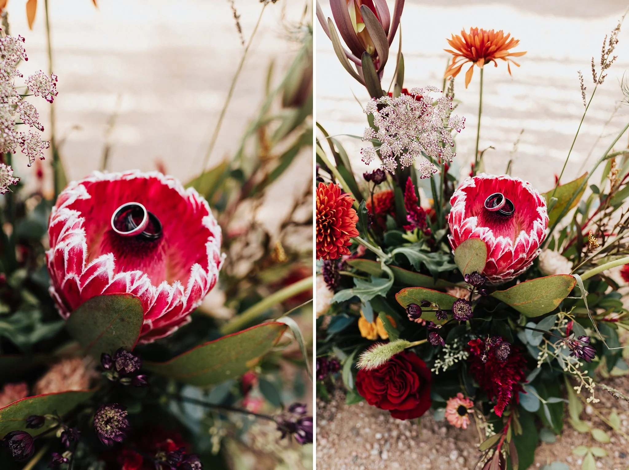 Alicia+lucia+photography+-+santa+fe+botanical+garden+-+santa+fe+botanic+garden+-+destination+wedding_0015.jpg