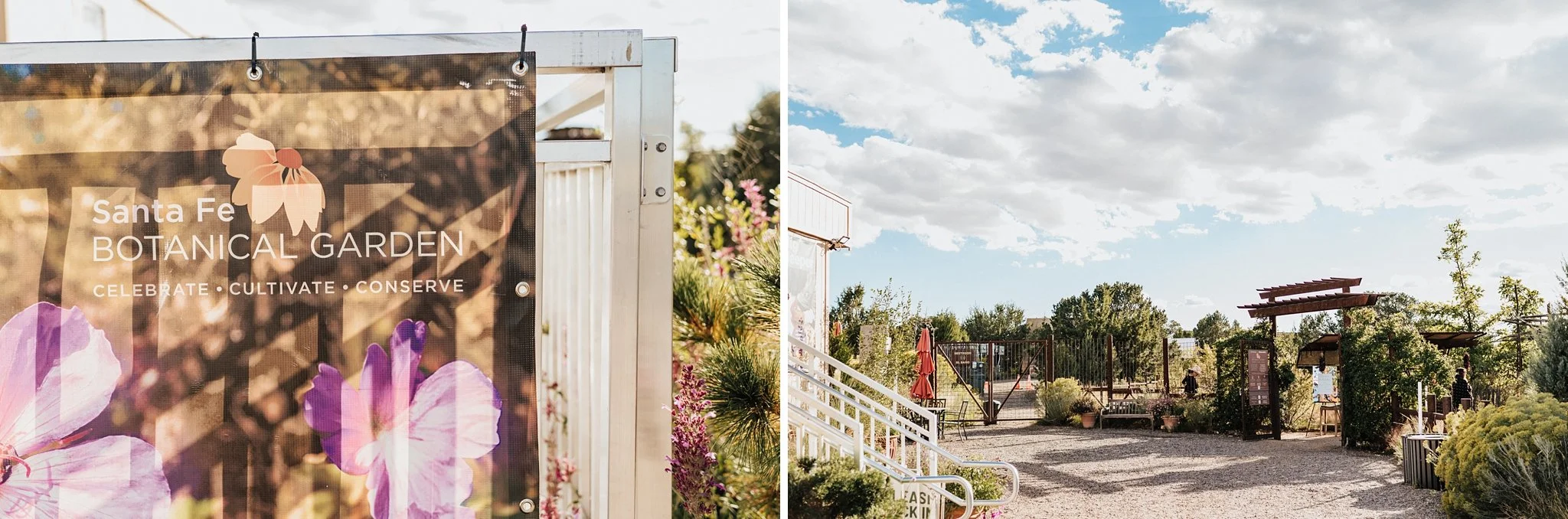 Alicia+lucia+photography+-+santa+fe+botanical+garden+-+santa+fe+botanic+garden+-+destination+wedding_0017.jpg