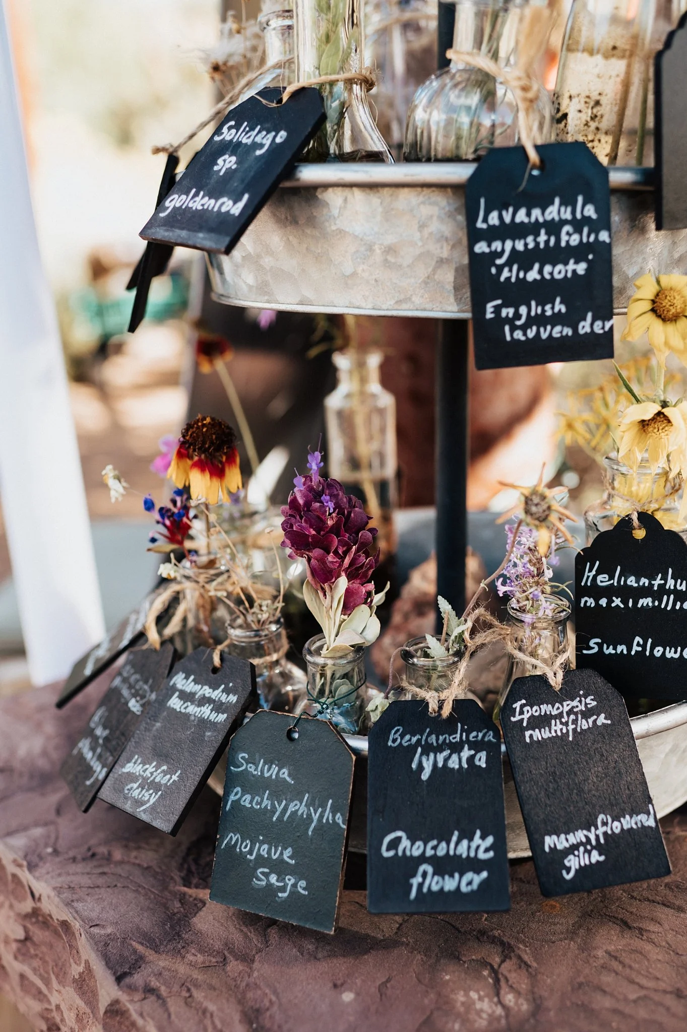 Alicia+lucia+photography+-+santa+fe+botanical+garden+-+santa+fe+botanic+garden+-+destination+wedding_0033.jpg
