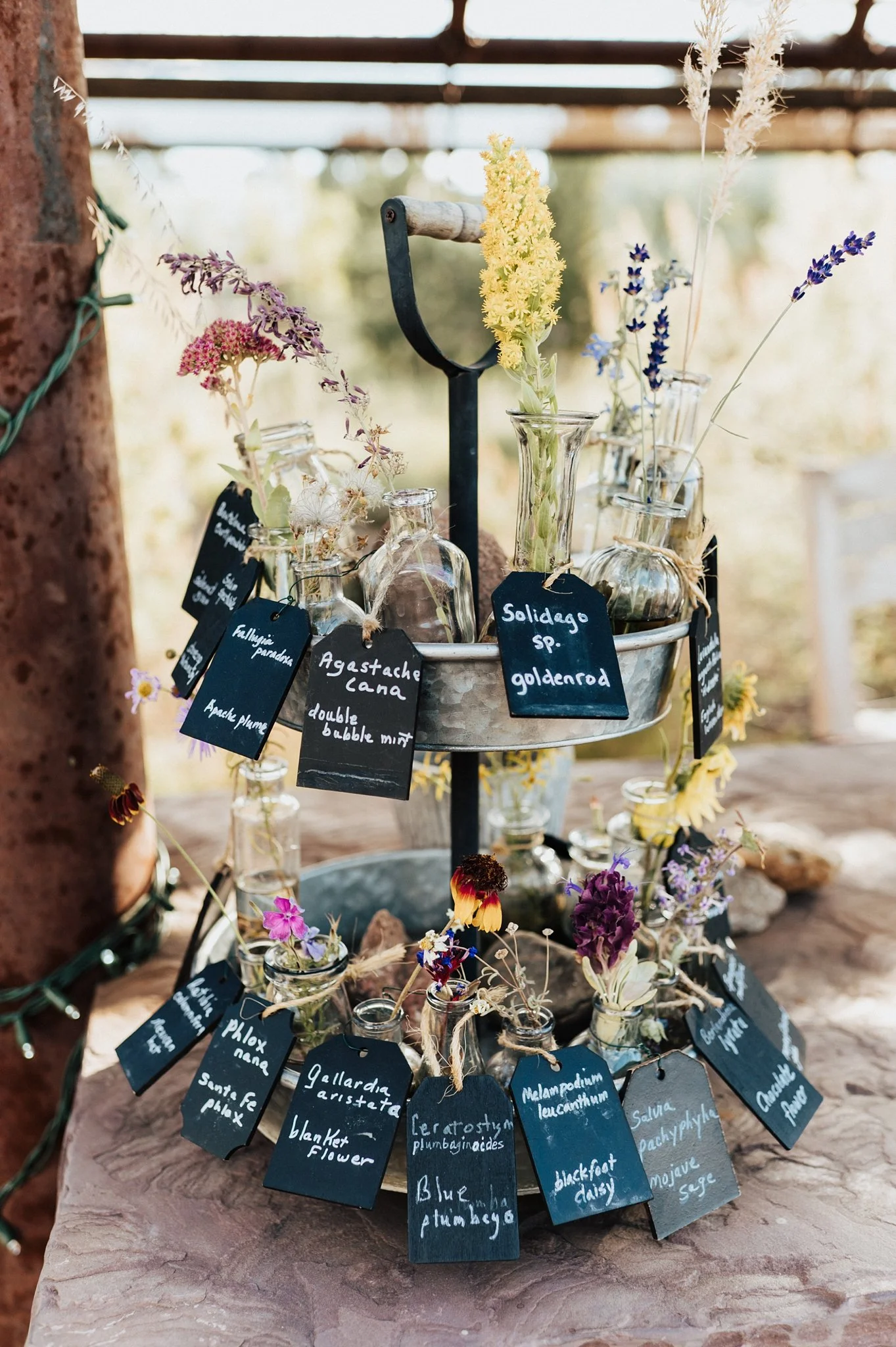 Alicia+lucia+photography+-+santa+fe+botanical+garden+-+santa+fe+botanic+garden+-+destination+wedding_0034.jpg