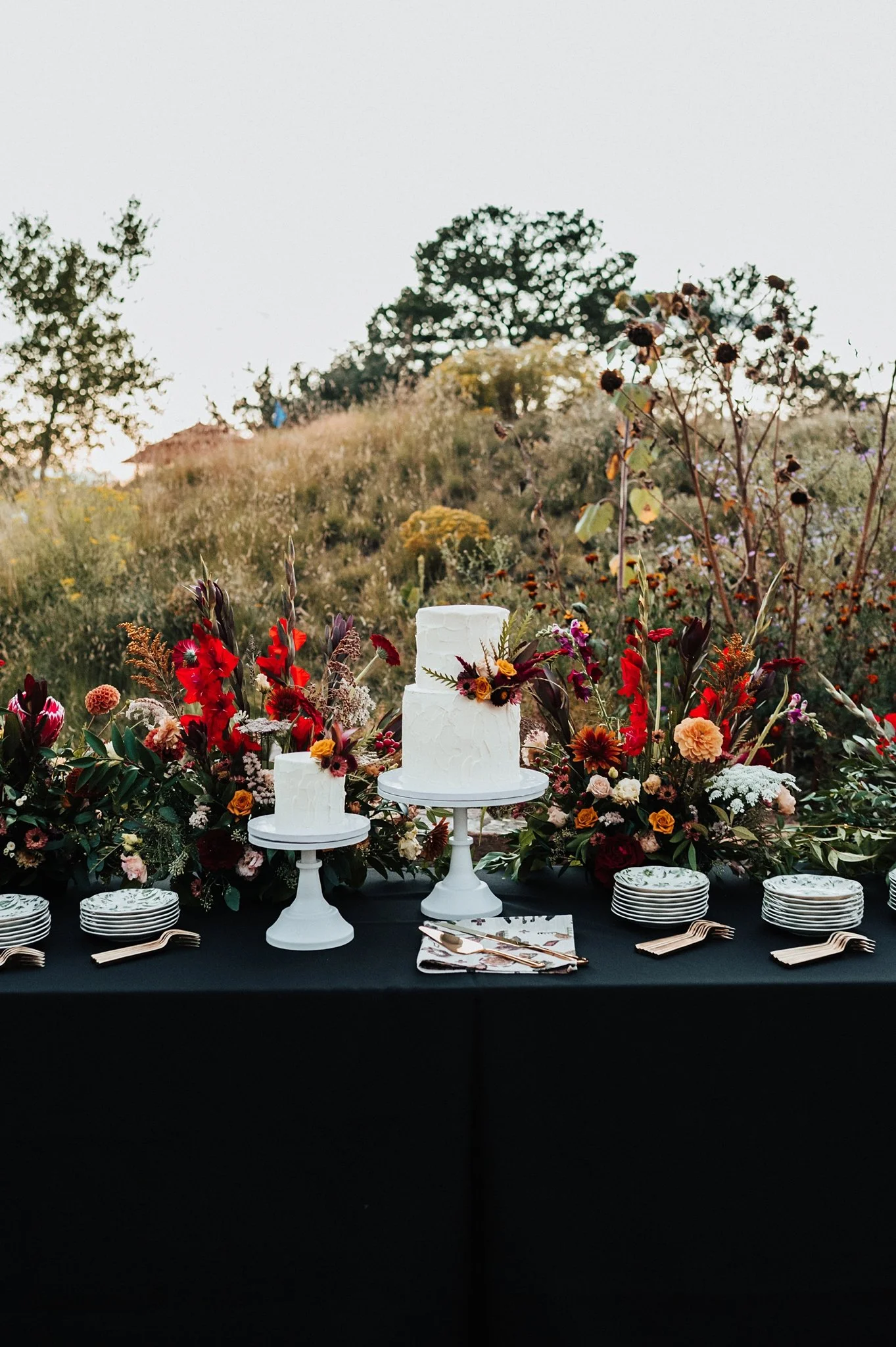 Alicia+lucia+photography+-+santa+fe+botanical+garden+-+santa+fe+botanic+garden+-+destination+wedding_0037.jpg