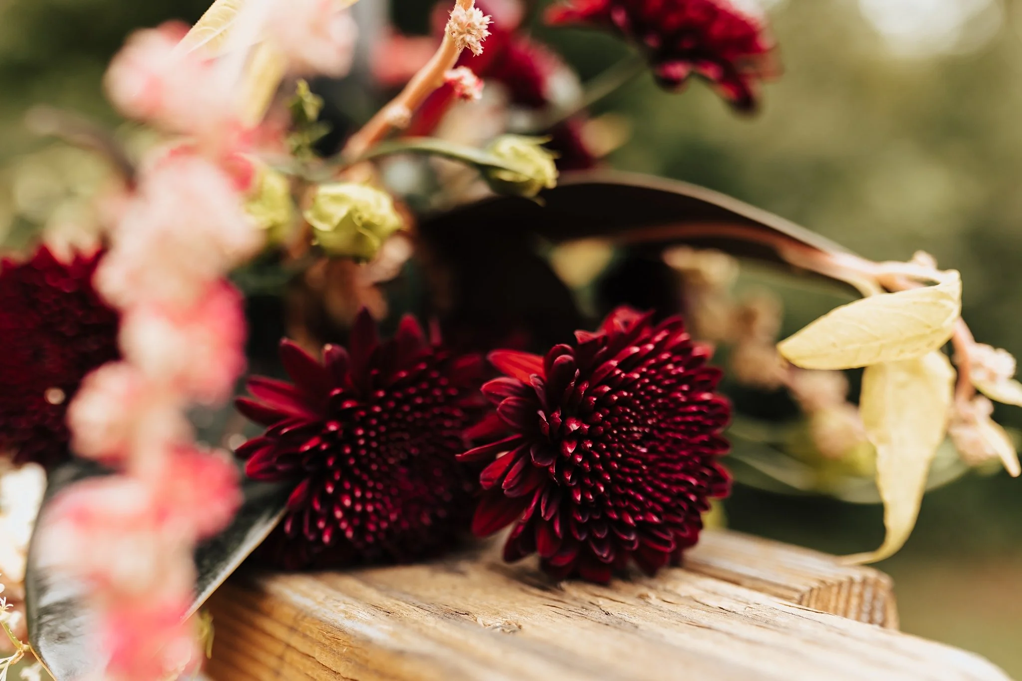 Alicia+lucia+photography+-+field+trip+pecos+-+pecos+wedding+-+field+trip+wedding_0004.jpg