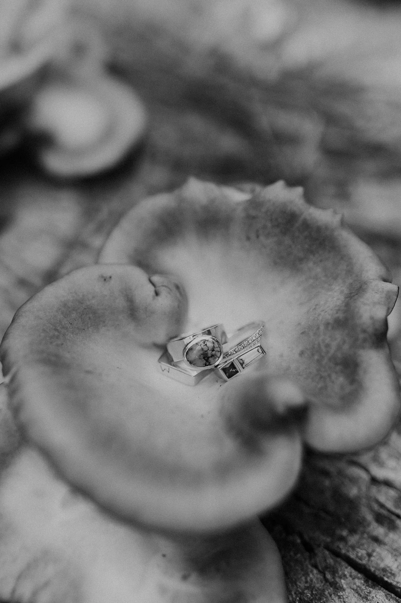 Alicia+lucia+photography+-+field+trip+pecos+-+pecos+wedding+-+field+trip+wedding_0107.jpg