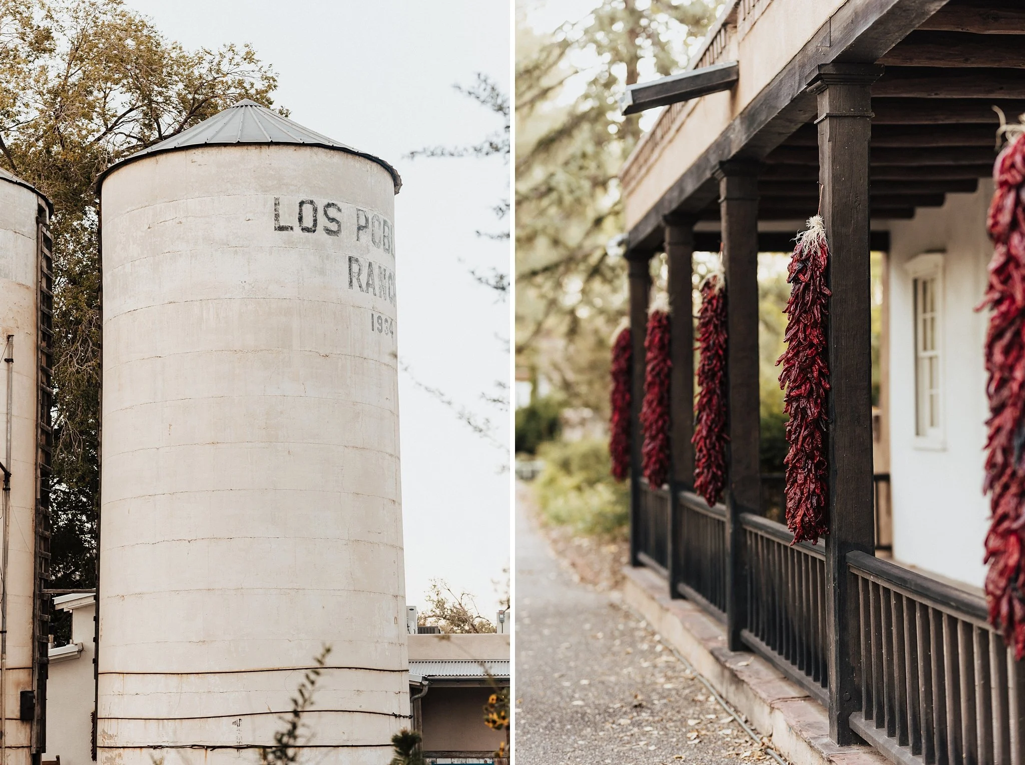 Alicia+lucia+photography+-+los+poblanos+-+los+poblanos+wedding+-+los+poblanos+proposal_0002.jpg