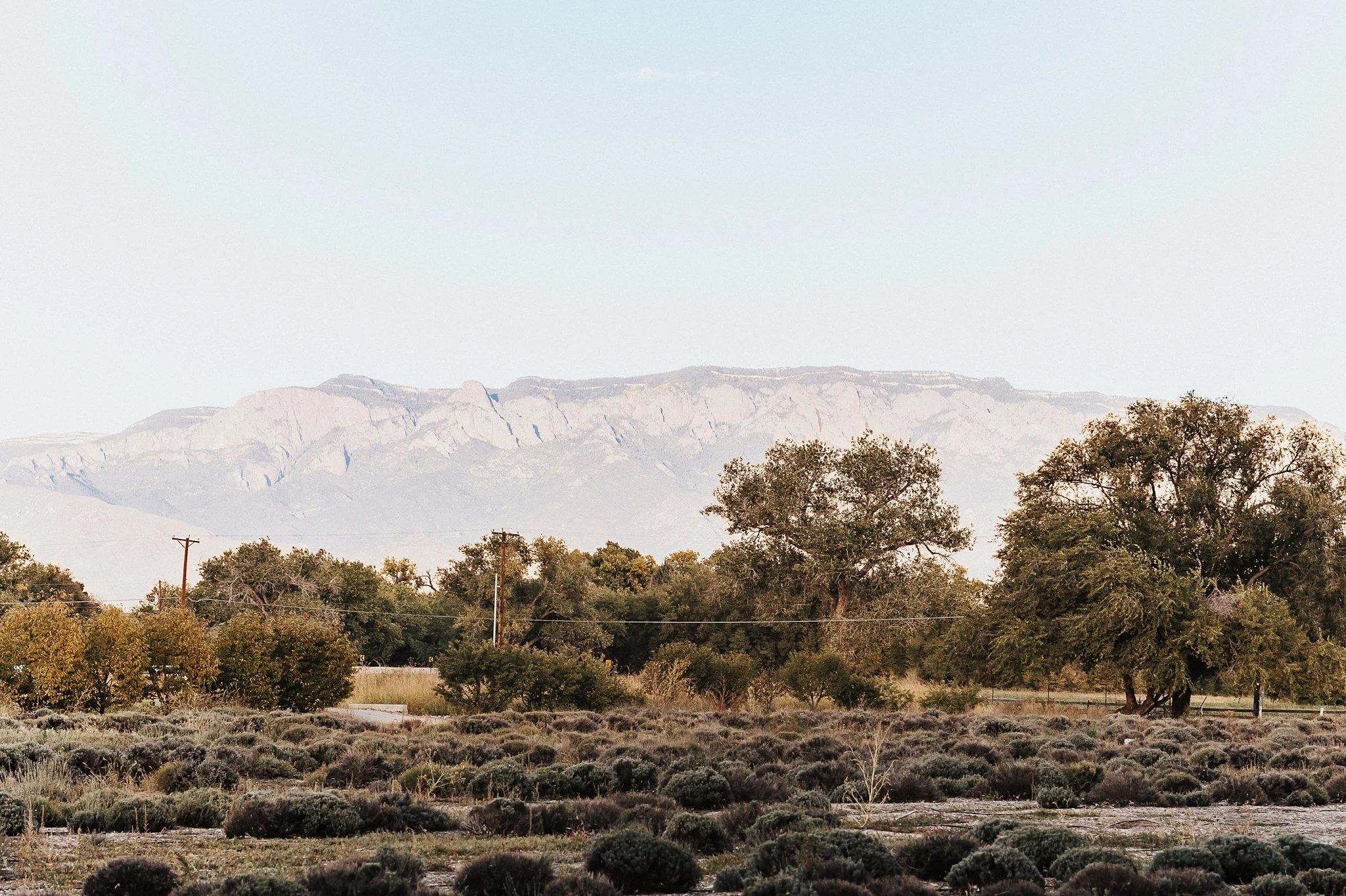 Alicia+lucia+photography+-+los+poblanos+-+los+poblanos+wedding+-+los+poblanos+proposal_0003.jpg