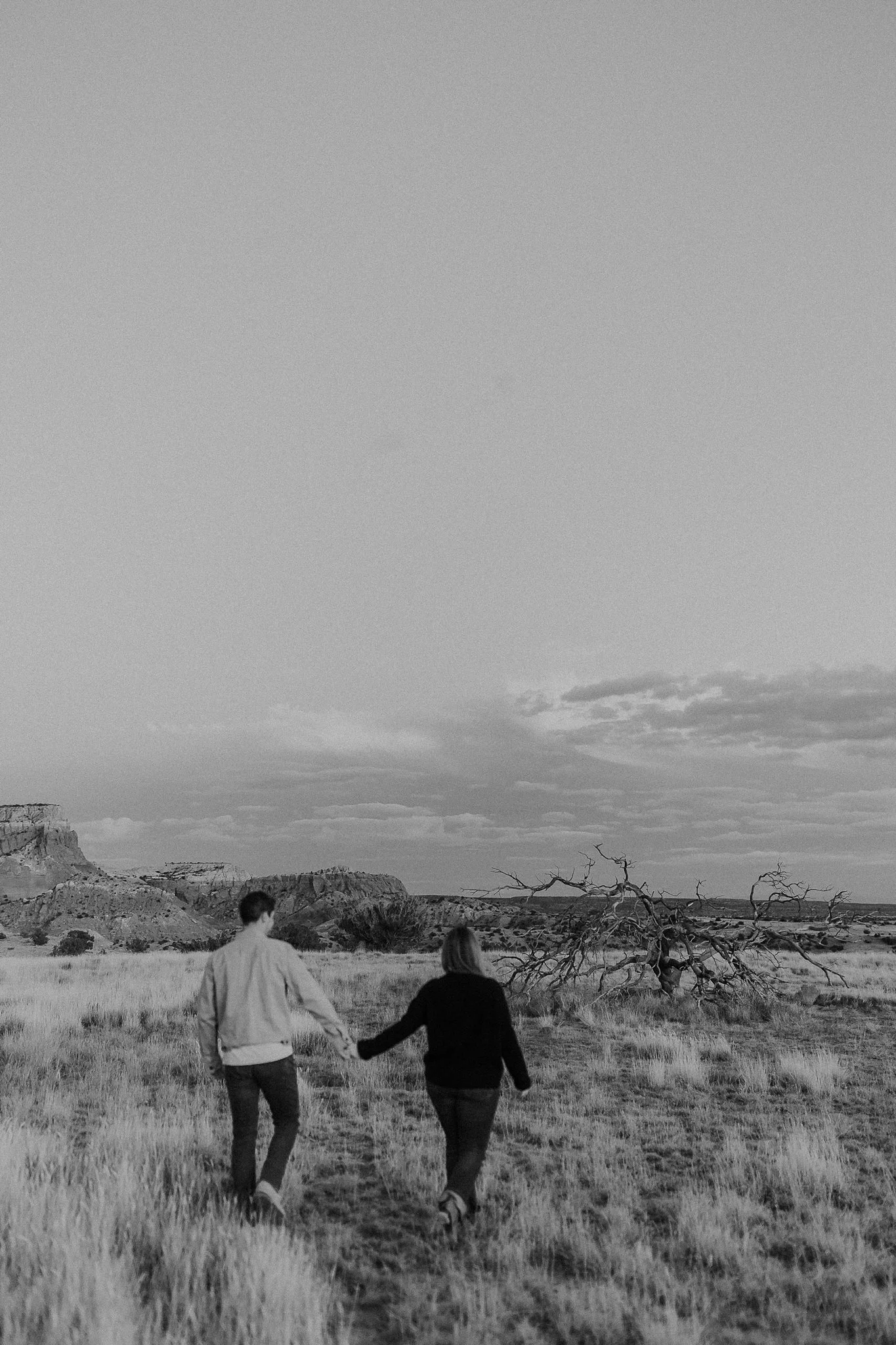 Alicia+lucia+photography+-+engagement+-+ghost+ranch+engagement+-+ghost+ranch+wedding+-+santa+fe+engagement_0065.jpg