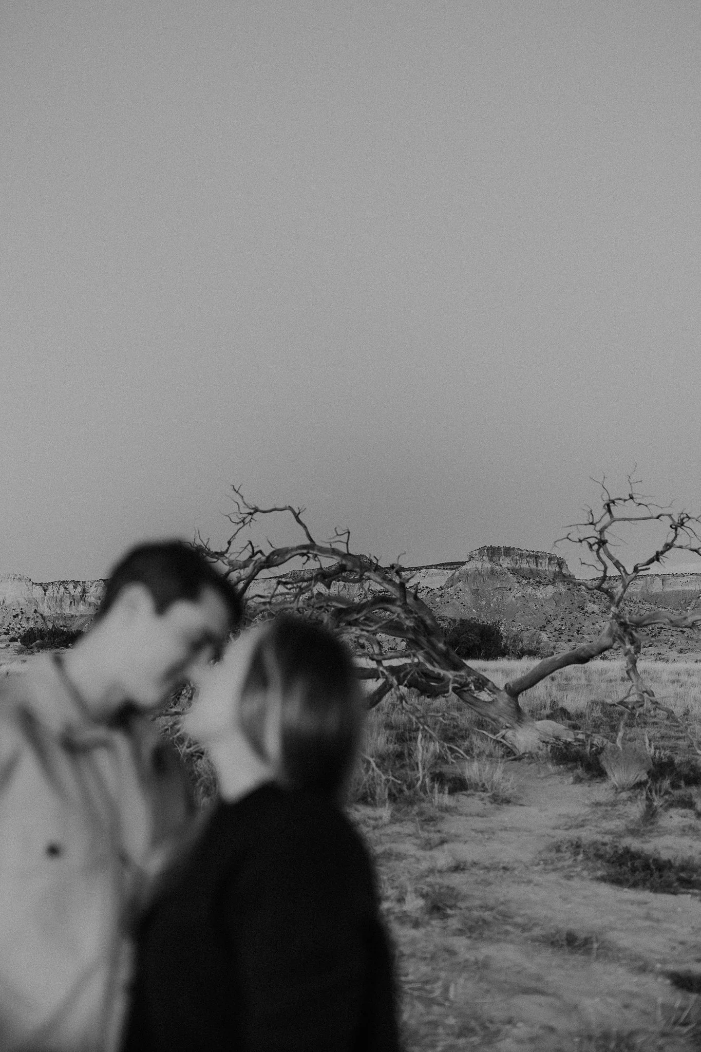 Alicia+lucia+photography+-+engagement+-+ghost+ranch+engagement+-+ghost+ranch+wedding+-+santa+fe+engagement_0085.jpg