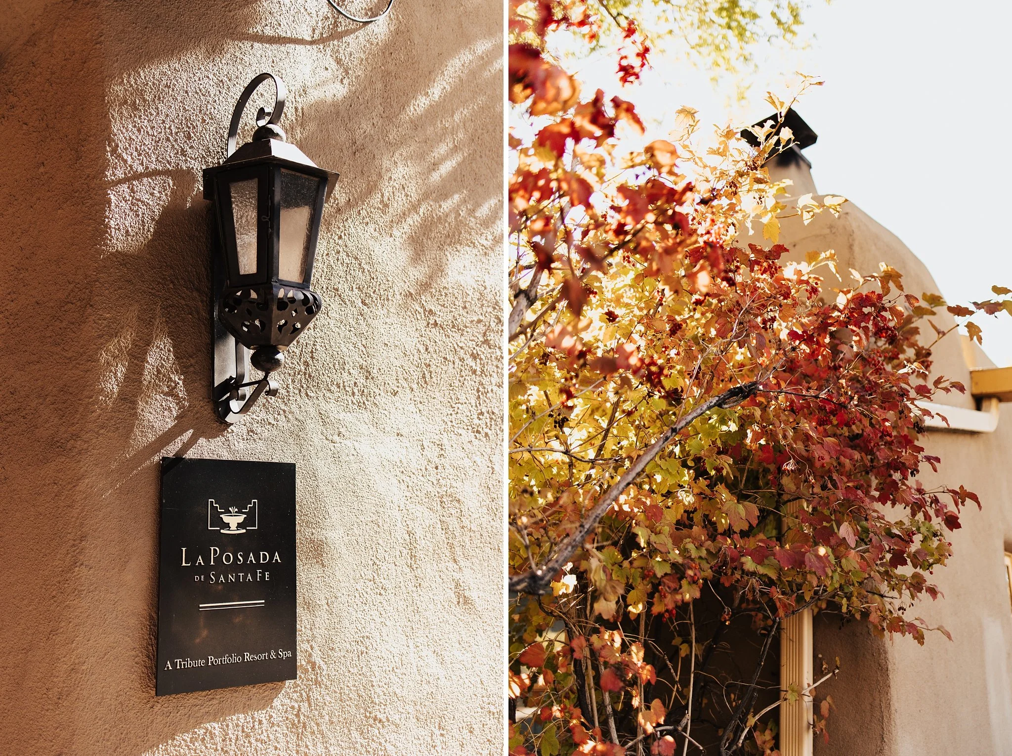 Alicia+lucia+photography+-+santa+fe+wedding+-+la+posada+wedding+-+destination+wedding_0002.jpg