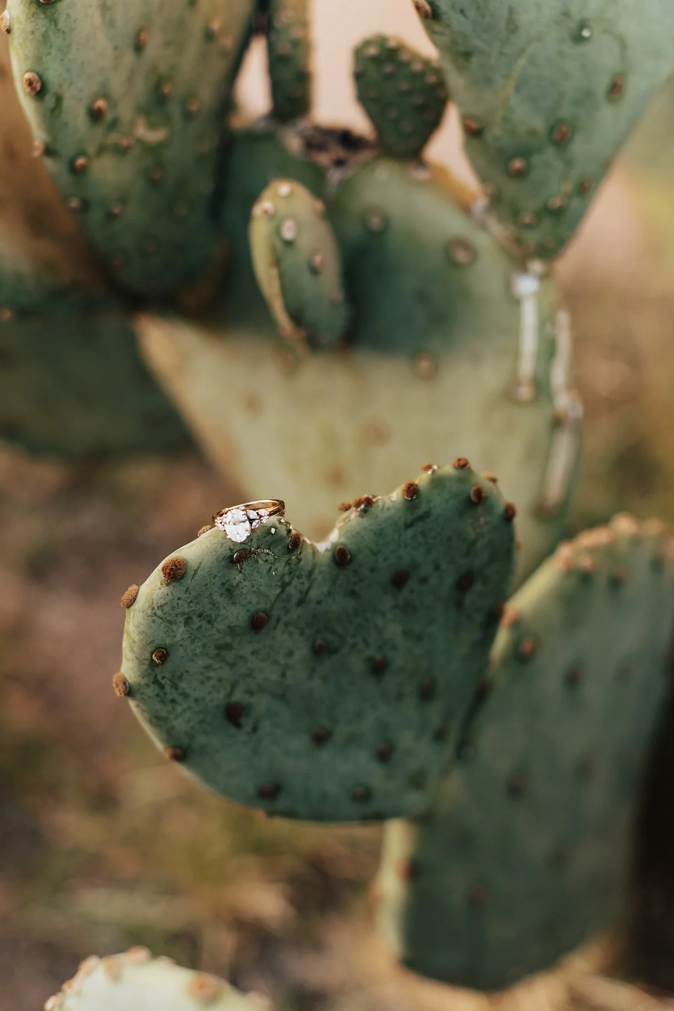Alicia+lucia+photography+-+southwest+engagement+-+old+town+albuquerque+-+old+town+albuquerque+engagement+-+santa+fe+wedding_0044.jpg