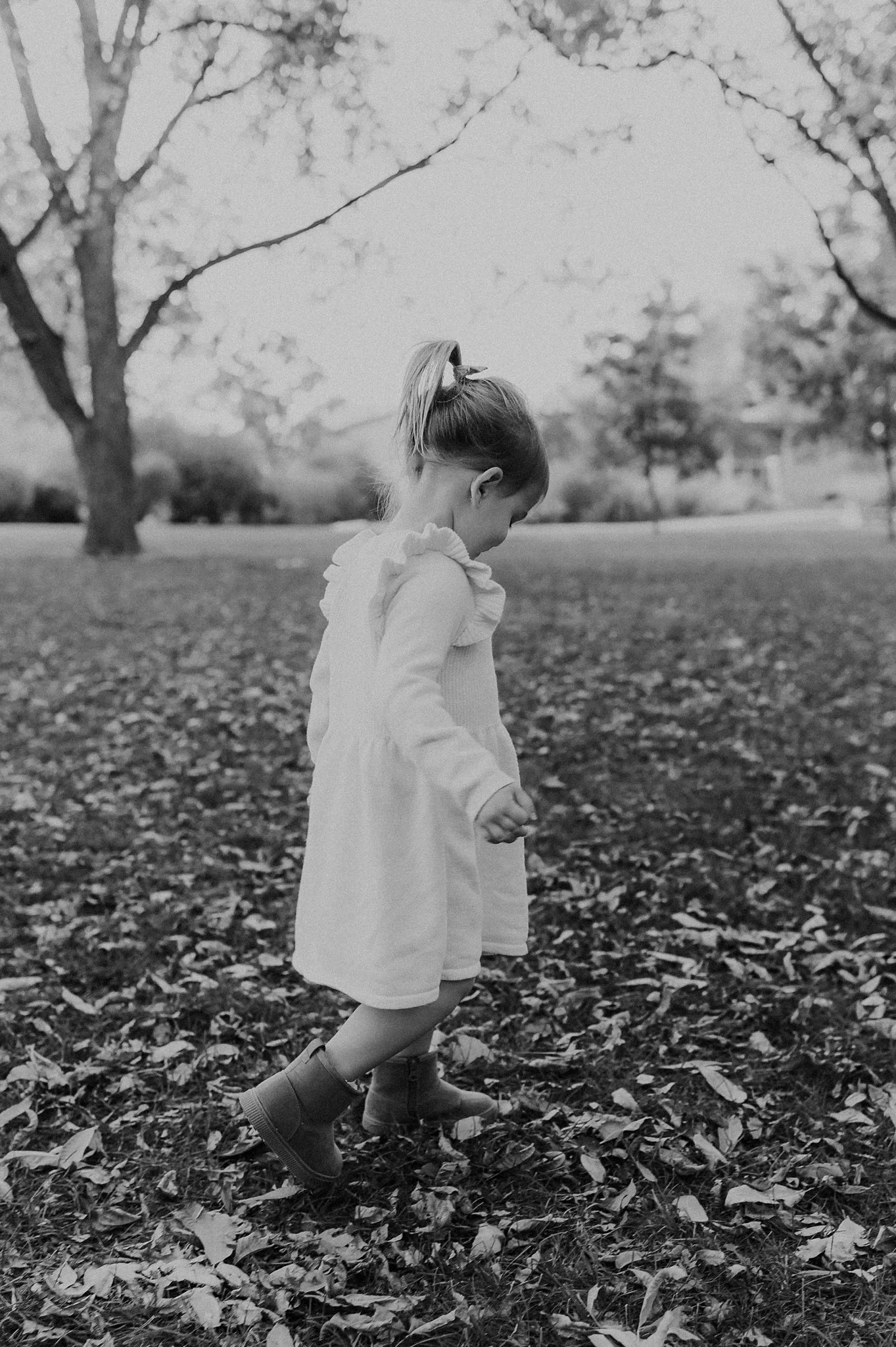 Alicia+lucia+photography+-+family+photography+-+fall+photography+-+southwest+photography_0020.jpg