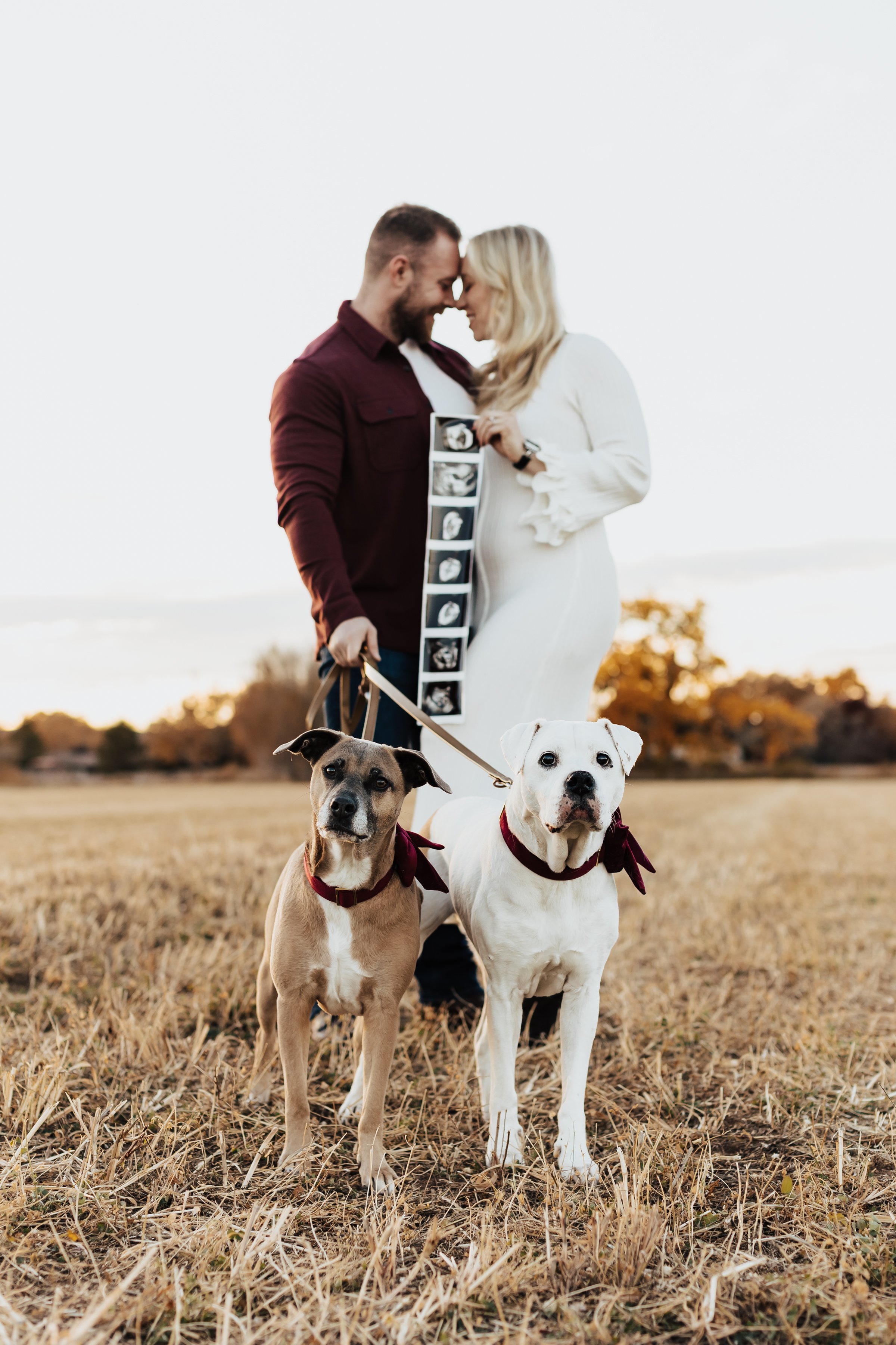 Erin + Caleb, a Heartfelt Pregnancy Announcement