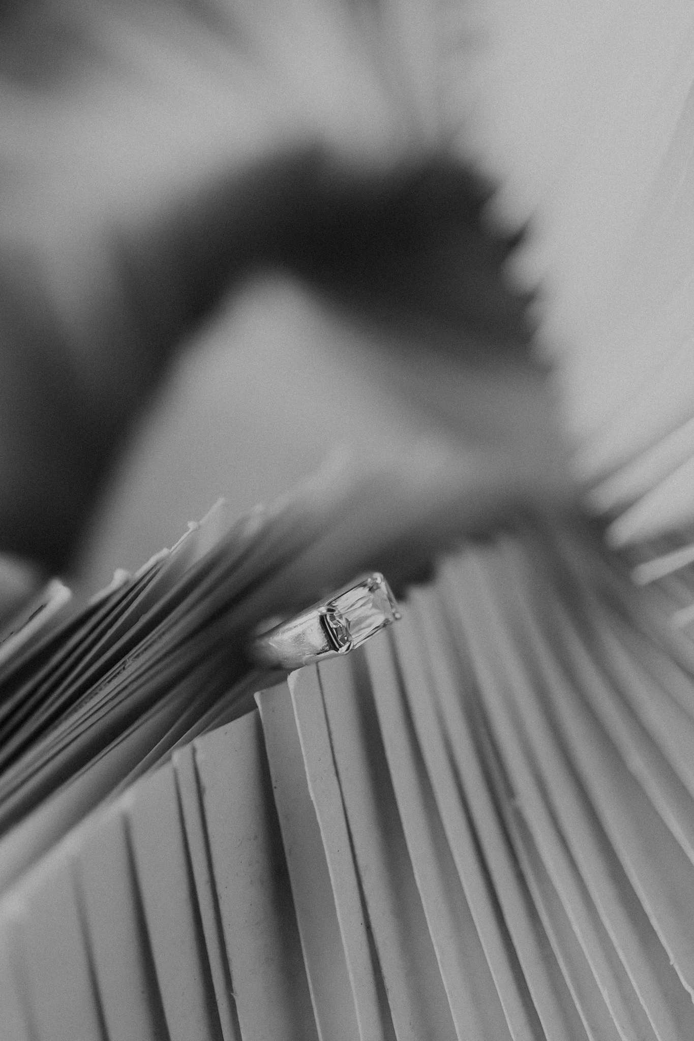 Alicia+lucia+photography+-+santa+fe+engagement+book+shop+engagement+-+library+engagement_0013.jpg