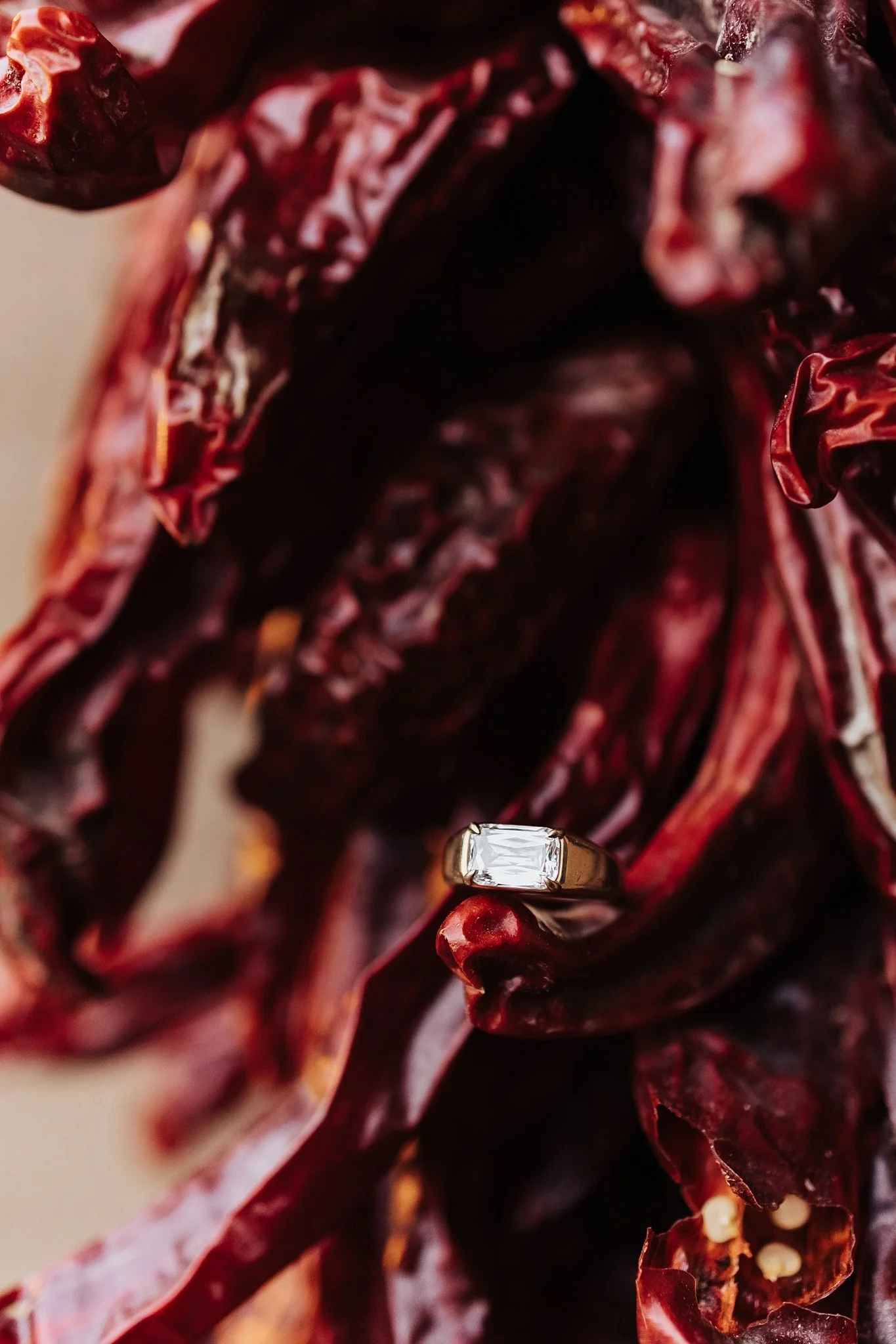 Alicia+lucia+photography+-+santa+fe+engagement+book+shop+engagement+-+library+engagement_0089.jpg