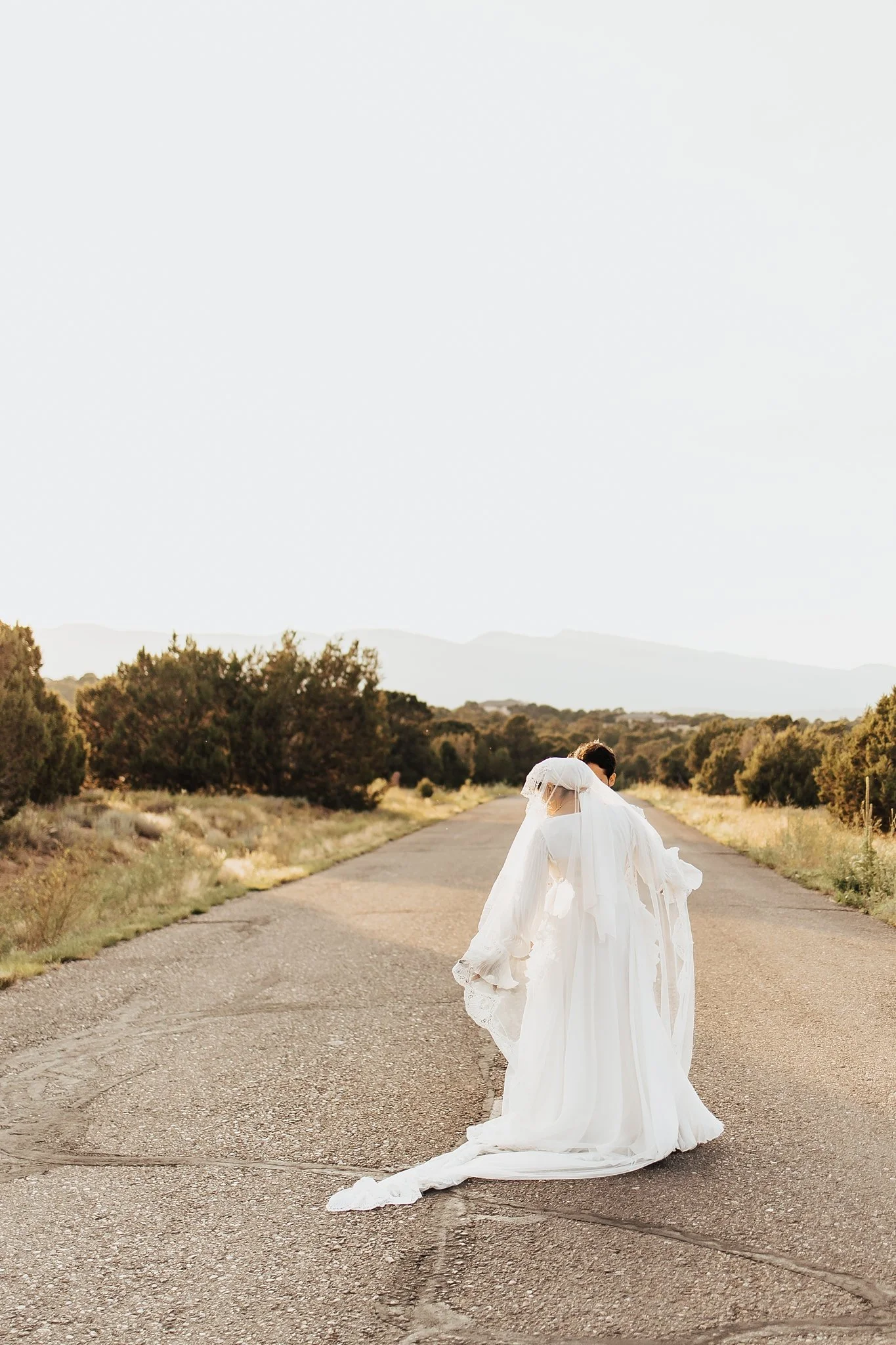 Alicia+lucia+photography+-+multicultural+wedding+-+southwest+wedding+-+naturepointe+wedding+-+albuquerque+wedding_0047.jpg
