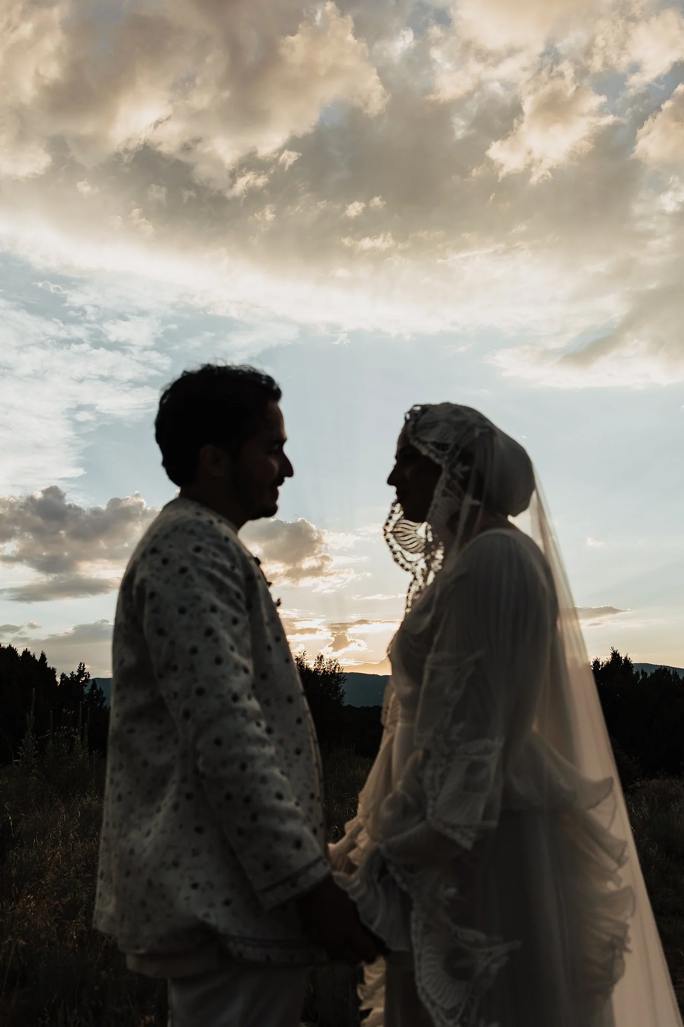 Alicia+lucia+photography+-+multicultural+wedding+-+southwest+wedding+-+naturepointe+wedding+-+albuquerque+wedding_0086.jpg