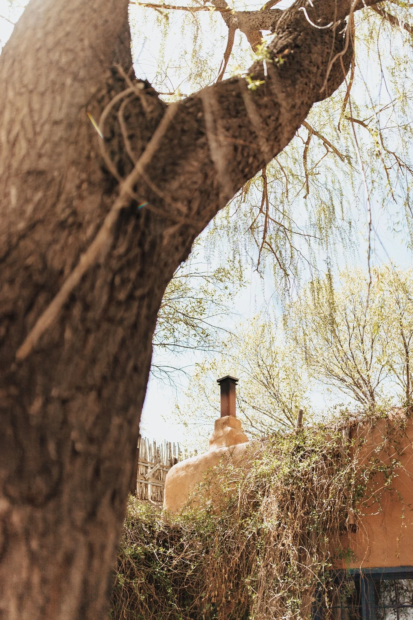 Alicia+lucia+photography+-+taos+wedding+-+taos+ski+valley+-+taos+ski+valley+wedding_0045.jpg