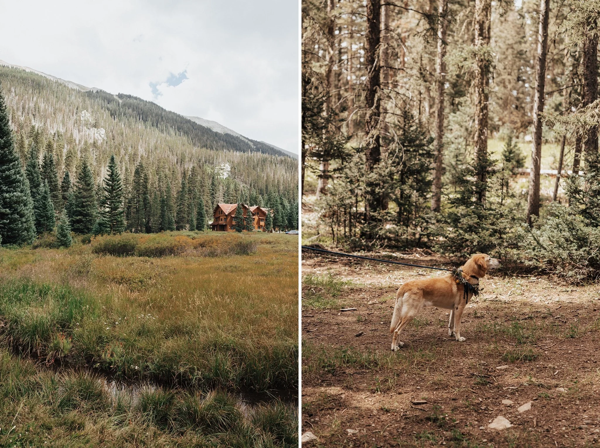 Alicia+lucia+photography+-+taos+wedding+-+taos+ski+valley+-+taos+ski+valley+wedding_0048.jpg