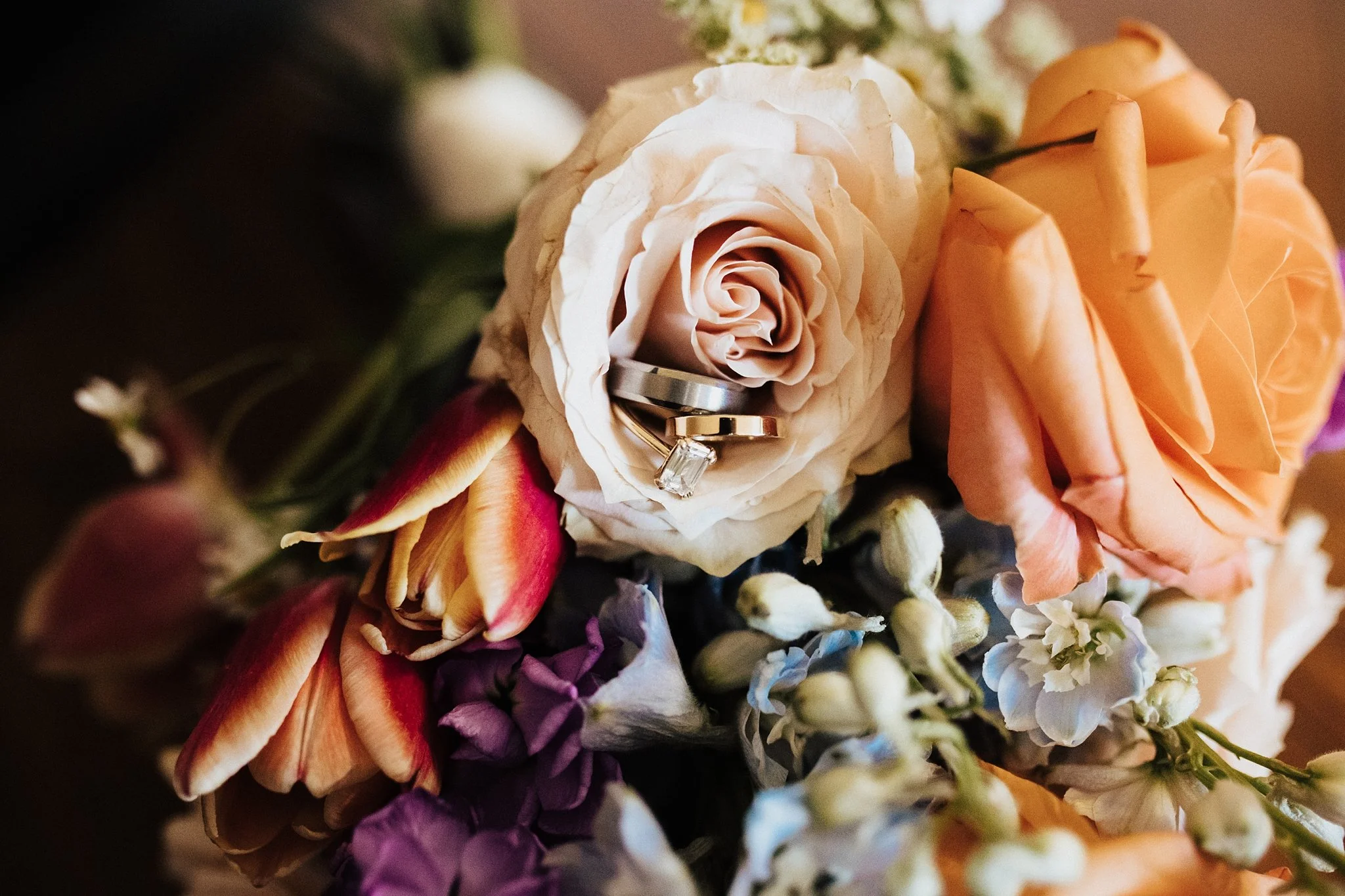Alicia+lucia+photography+-+southwest+wedding+-+la+cruces+wedding+-+el+paso+wedding_0005.jpg