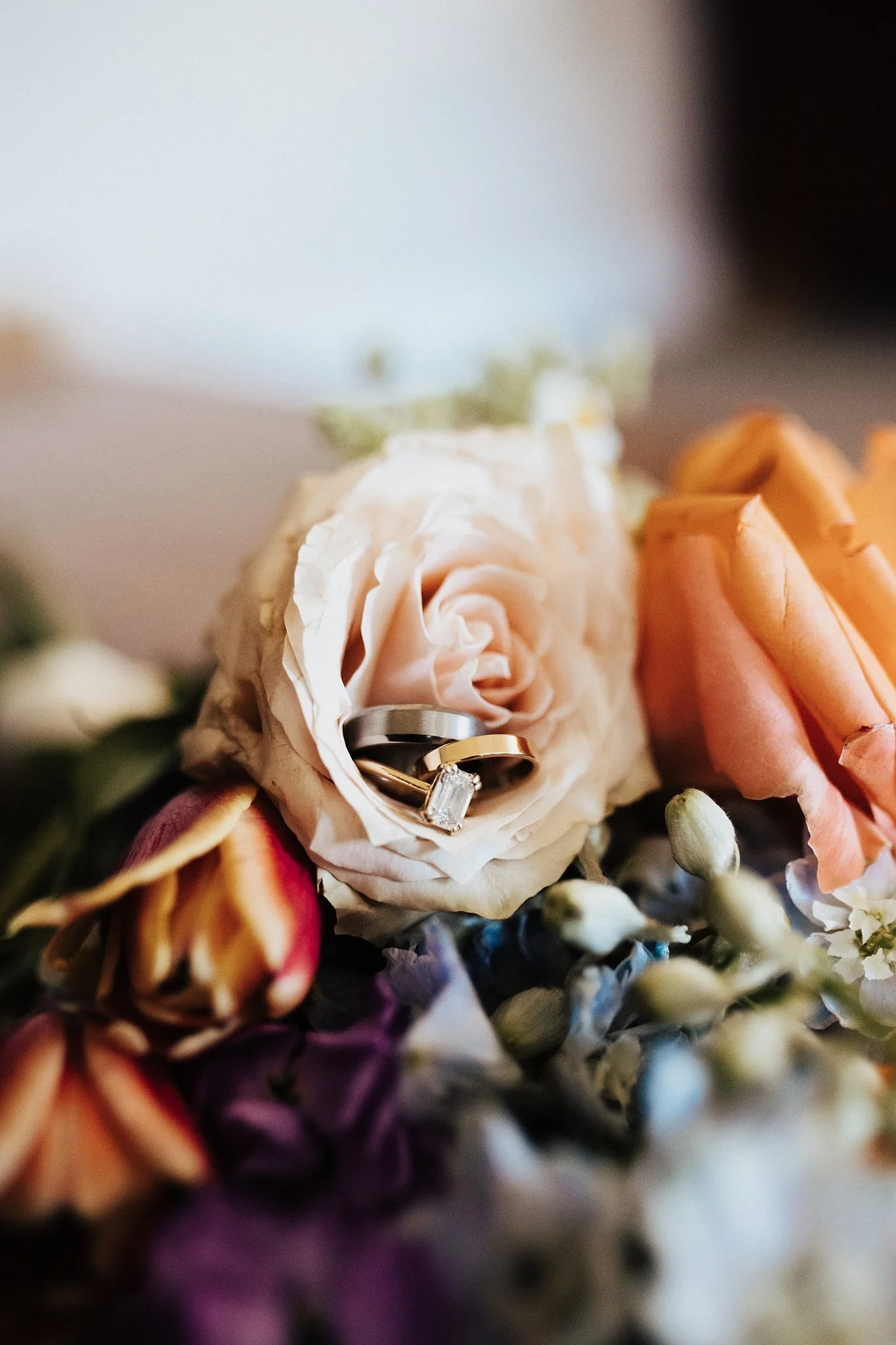 Alicia+lucia+photography+-+southwest+wedding+-+la+cruces+wedding+-+el+paso+wedding_0006.jpg