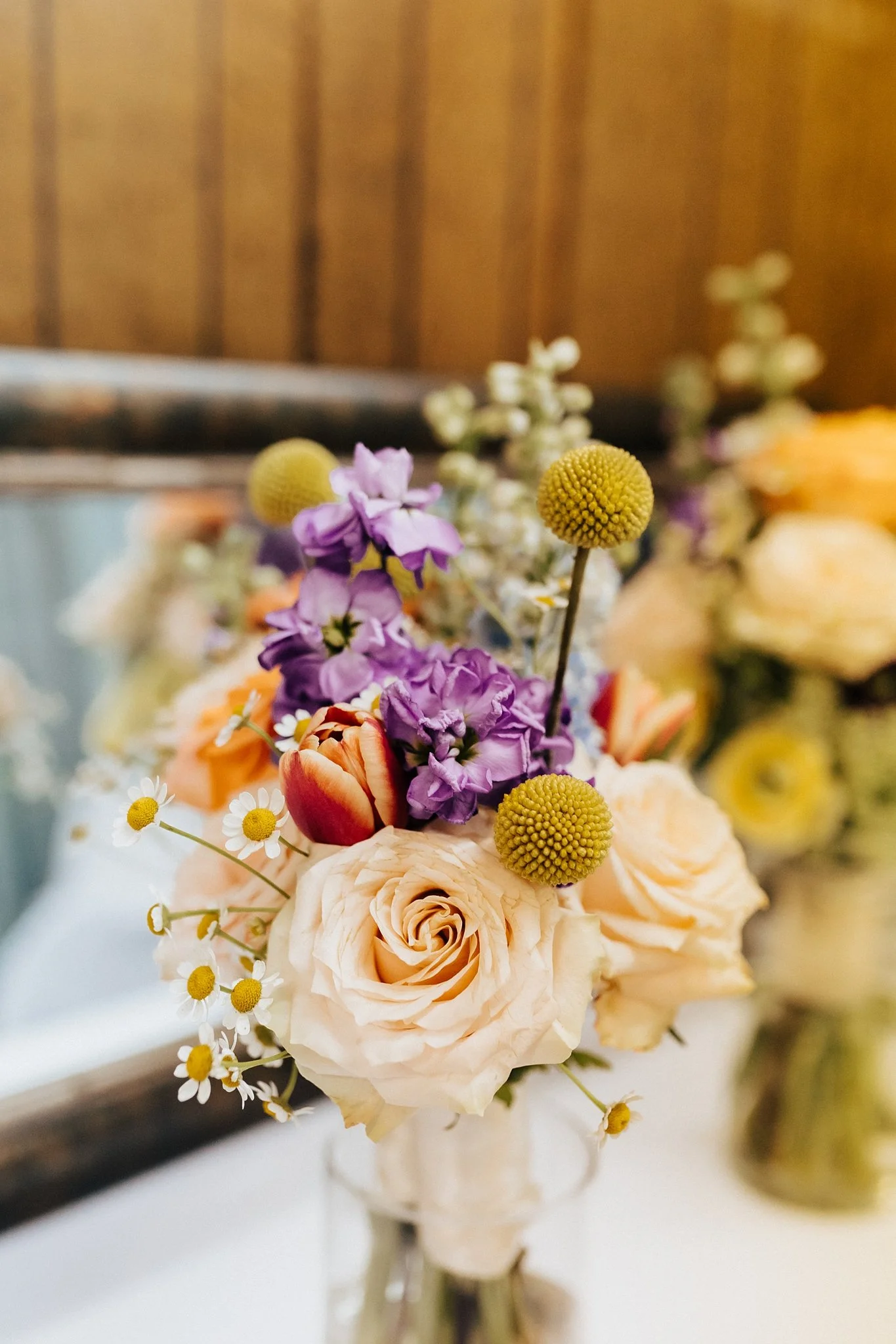 Alicia+lucia+photography+-+southwest+wedding+-+la+cruces+wedding+-+el+paso+wedding_0008.jpg