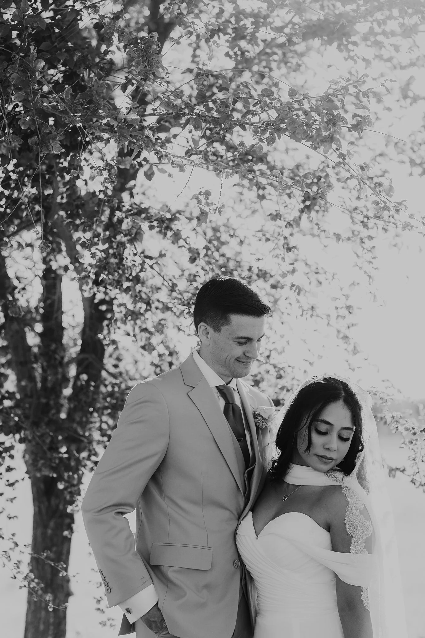 Alicia+lucia+photography+-+southwest+wedding+-+la+cruces+wedding+-+el+paso+wedding_0108.jpg
