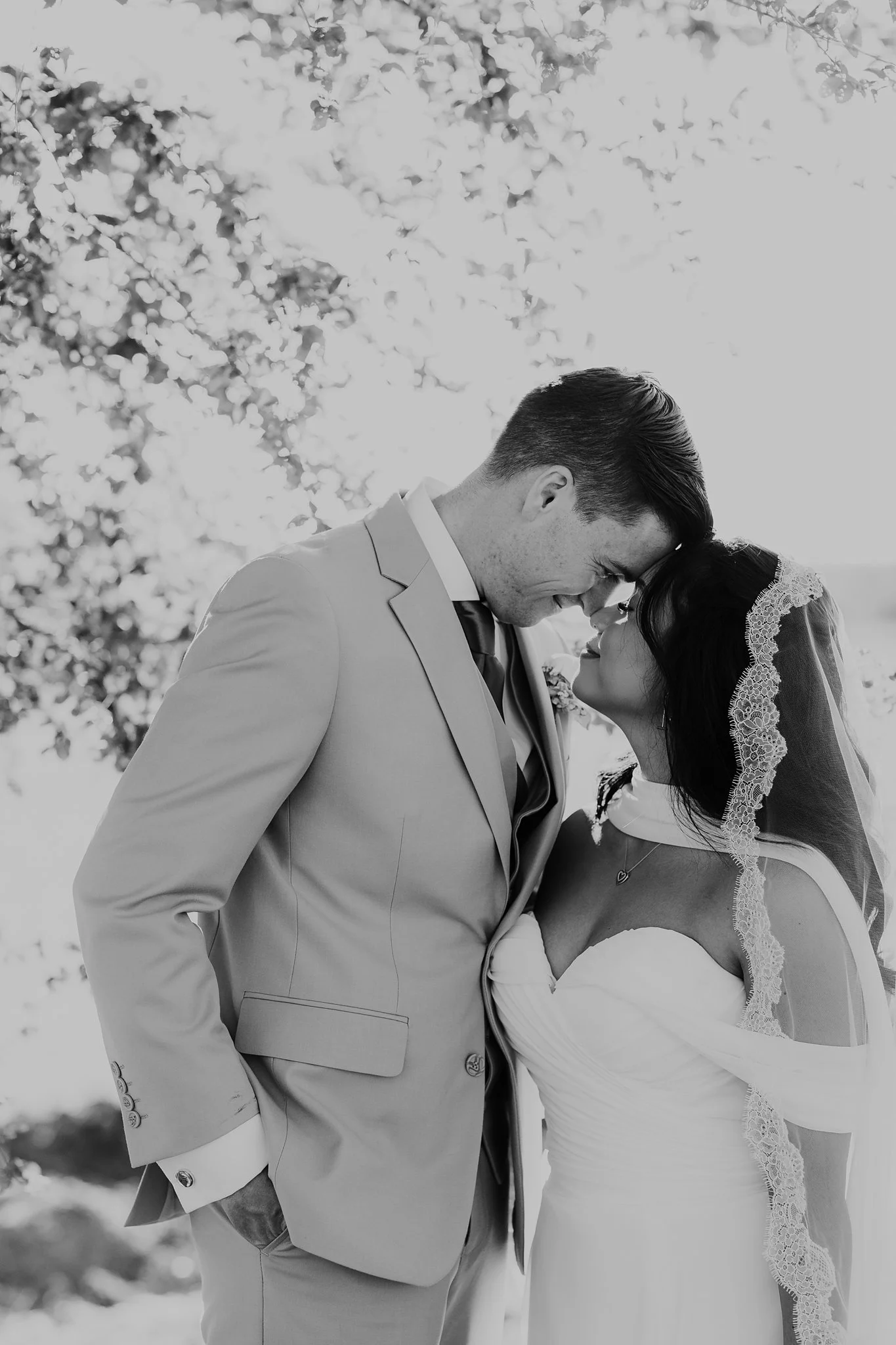 Alicia+lucia+photography+-+southwest+wedding+-+la+cruces+wedding+-+el+paso+wedding_0109.jpg