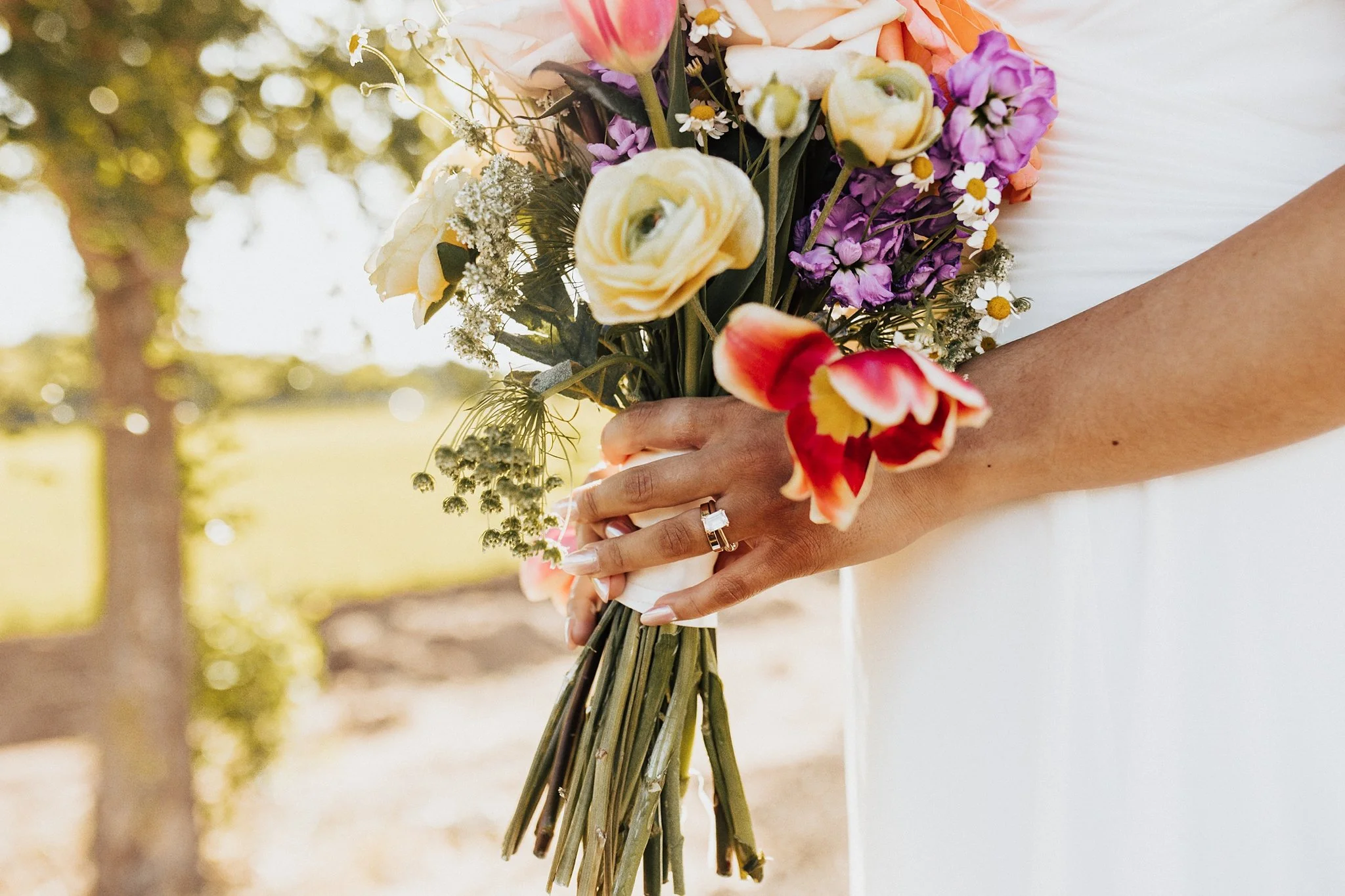 Alicia+lucia+photography+-+southwest+wedding+-+la+cruces+wedding+-+el+paso+wedding_0127.jpg