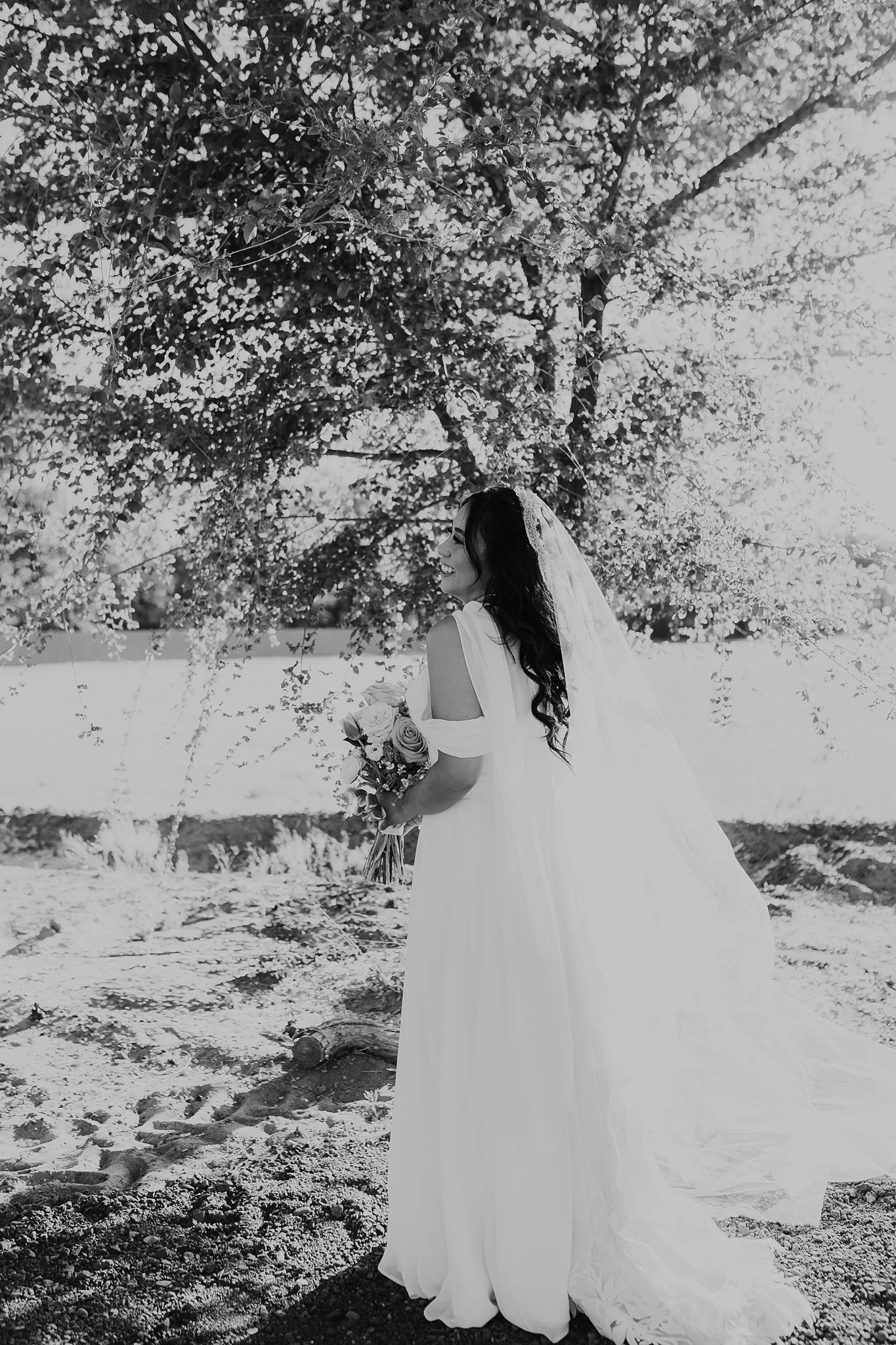 Alicia+lucia+photography+-+southwest+wedding+-+la+cruces+wedding+-+el+paso+wedding_0128.jpg