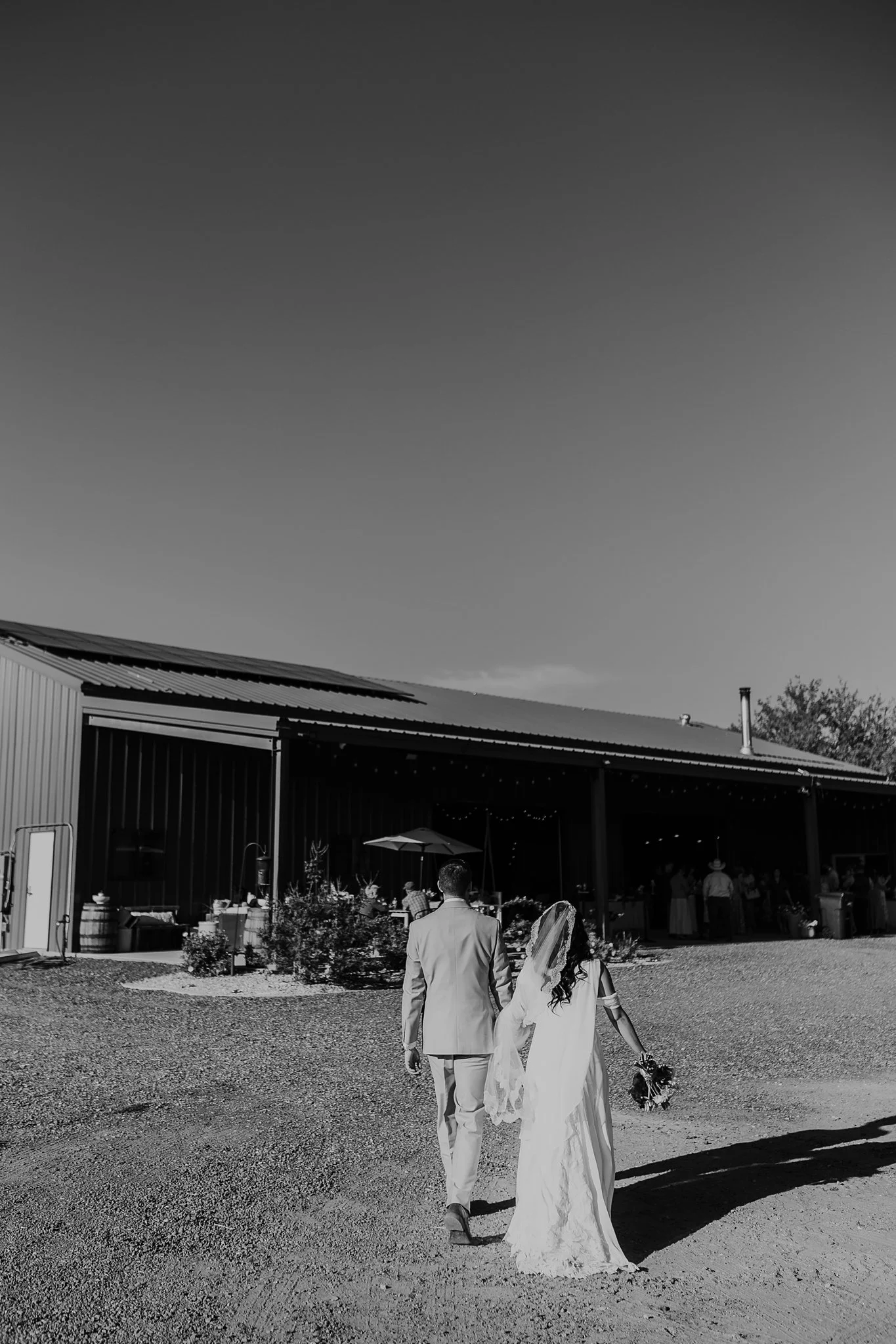 Alicia+lucia+photography+-+southwest+wedding+-+la+cruces+wedding+-+el+paso+wedding_0132.jpg