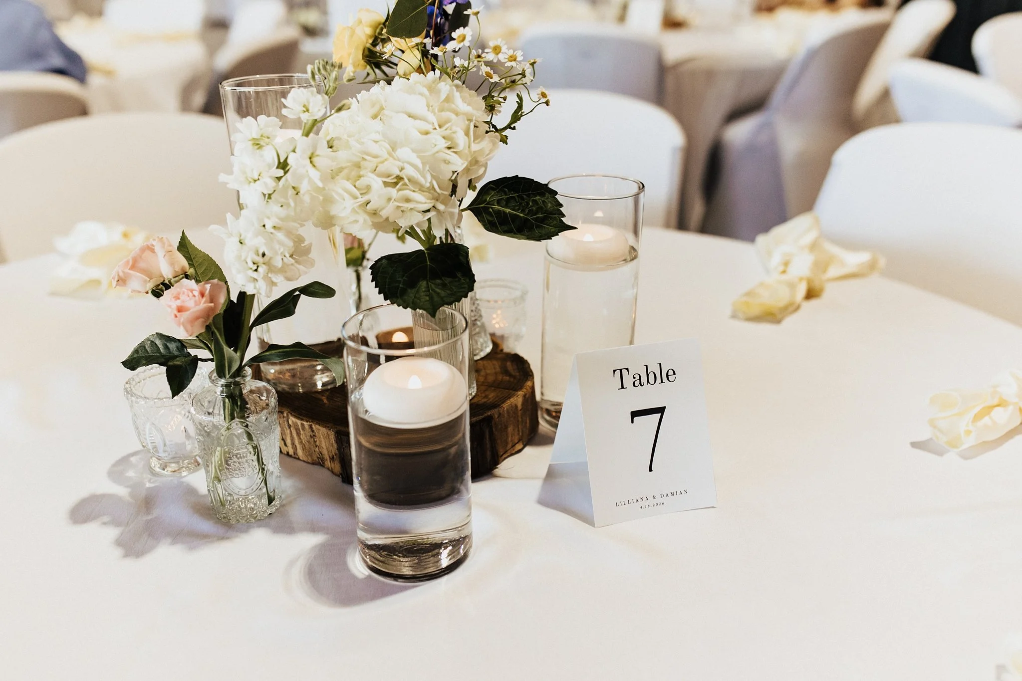 Alicia+lucia+photography+-+southwest+wedding+-+la+cruces+wedding+-+el+paso+wedding_0135.jpg