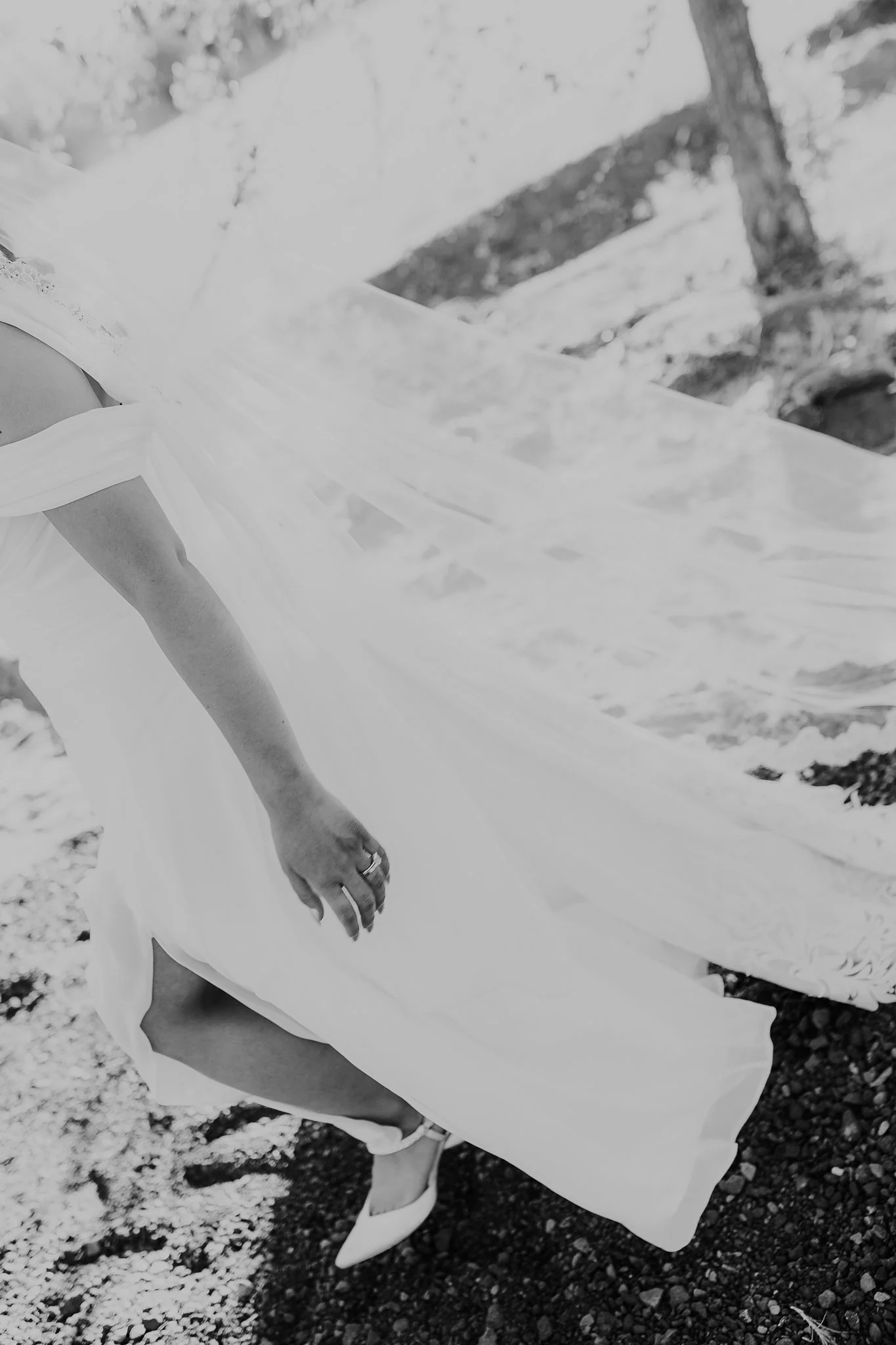 Alicia+lucia+photography+-+southwest+wedding+-+la+cruces+wedding+-+el+paso+wedding_0146.jpg