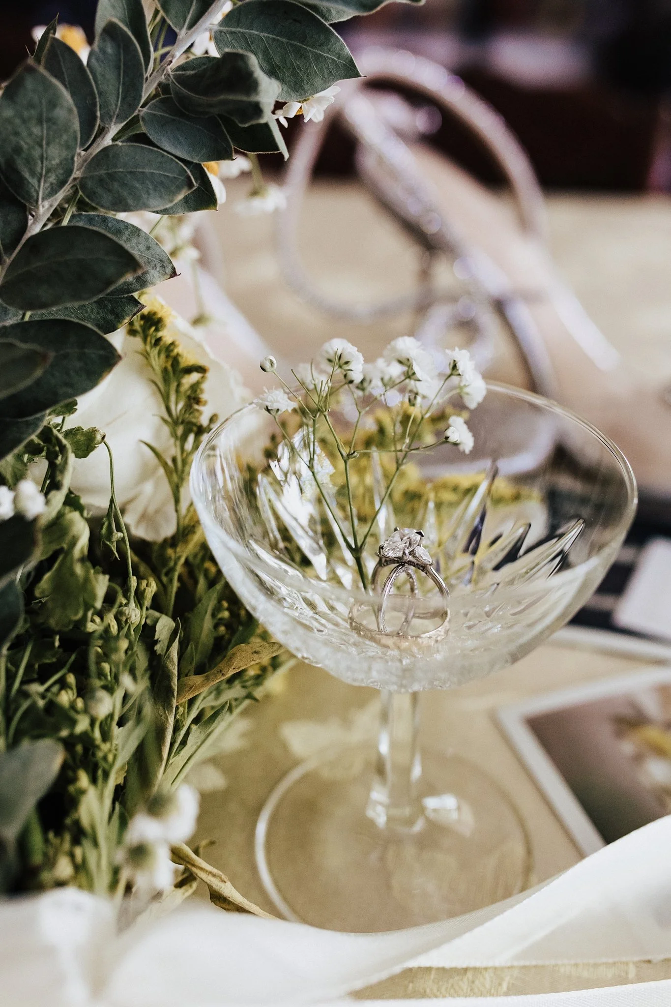 Alicia+lucia+photography+-+backyard+wedding+-+destination+wedding+-+albuquerque+wedding_0006.jpg