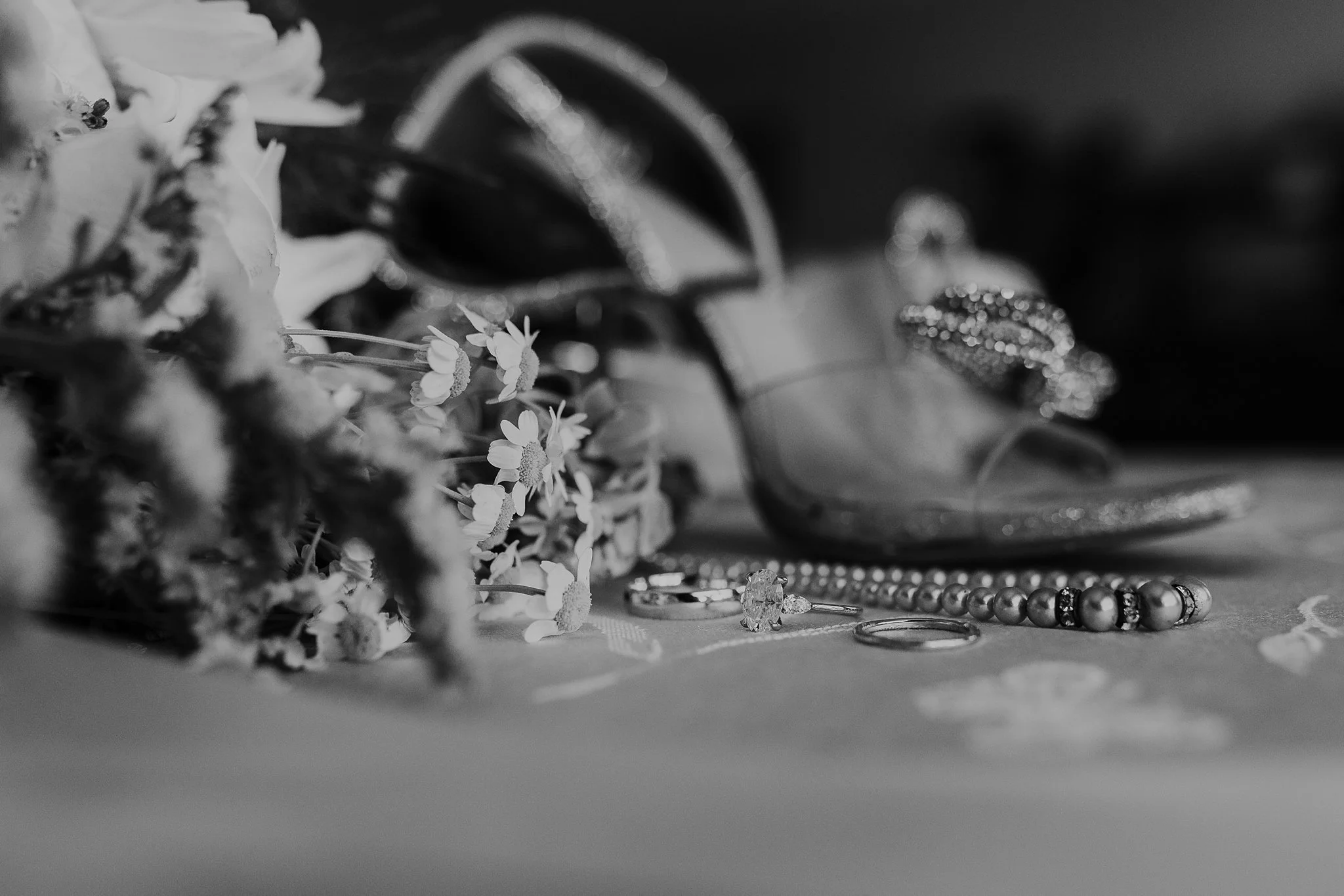 Alicia+lucia+photography+-+backyard+wedding+-+destination+wedding+-+albuquerque+wedding_0007.jpg