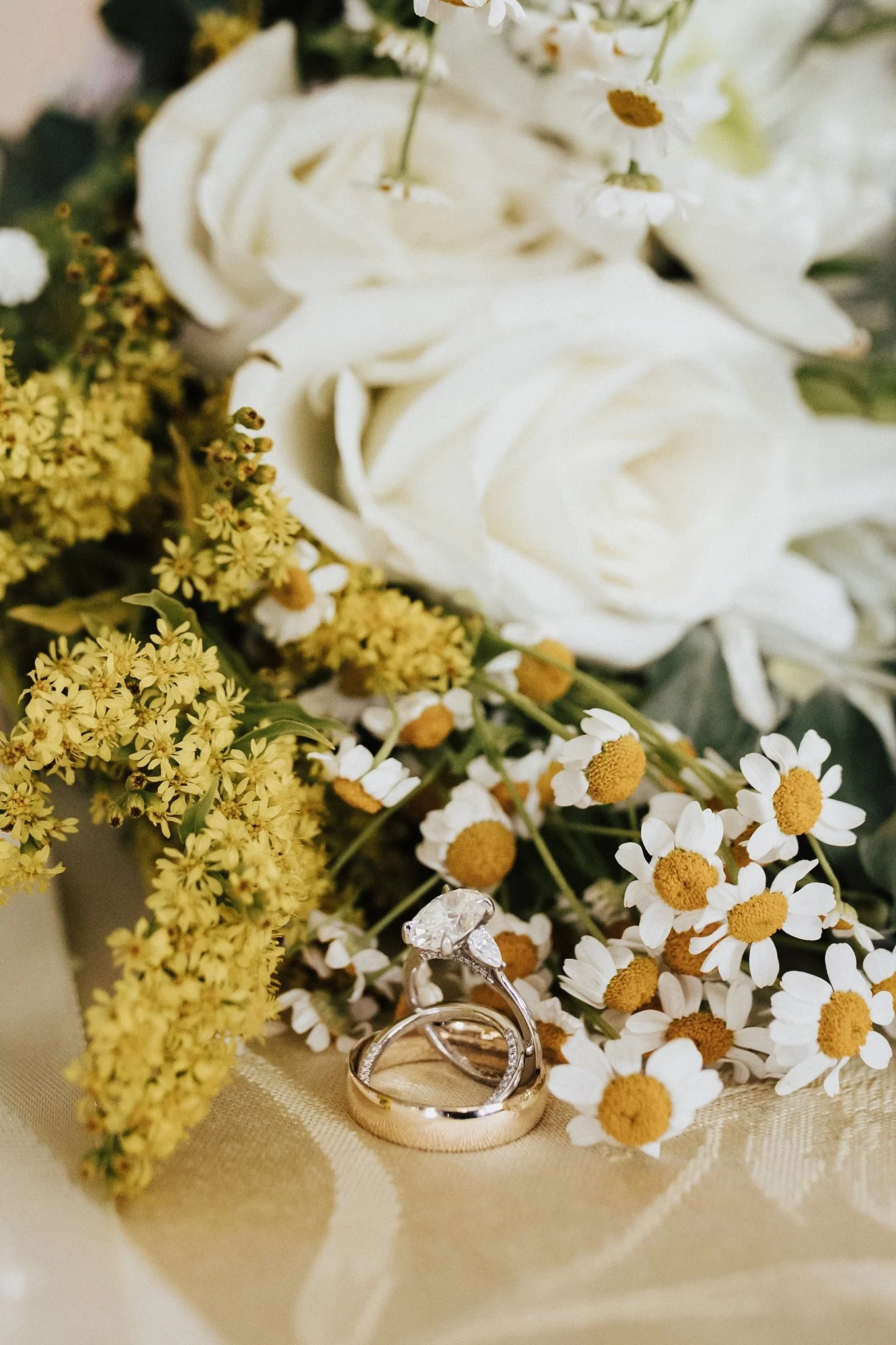 Alicia+lucia+photography+-+backyard+wedding+-+destination+wedding+-+albuquerque+wedding_0008.jpg