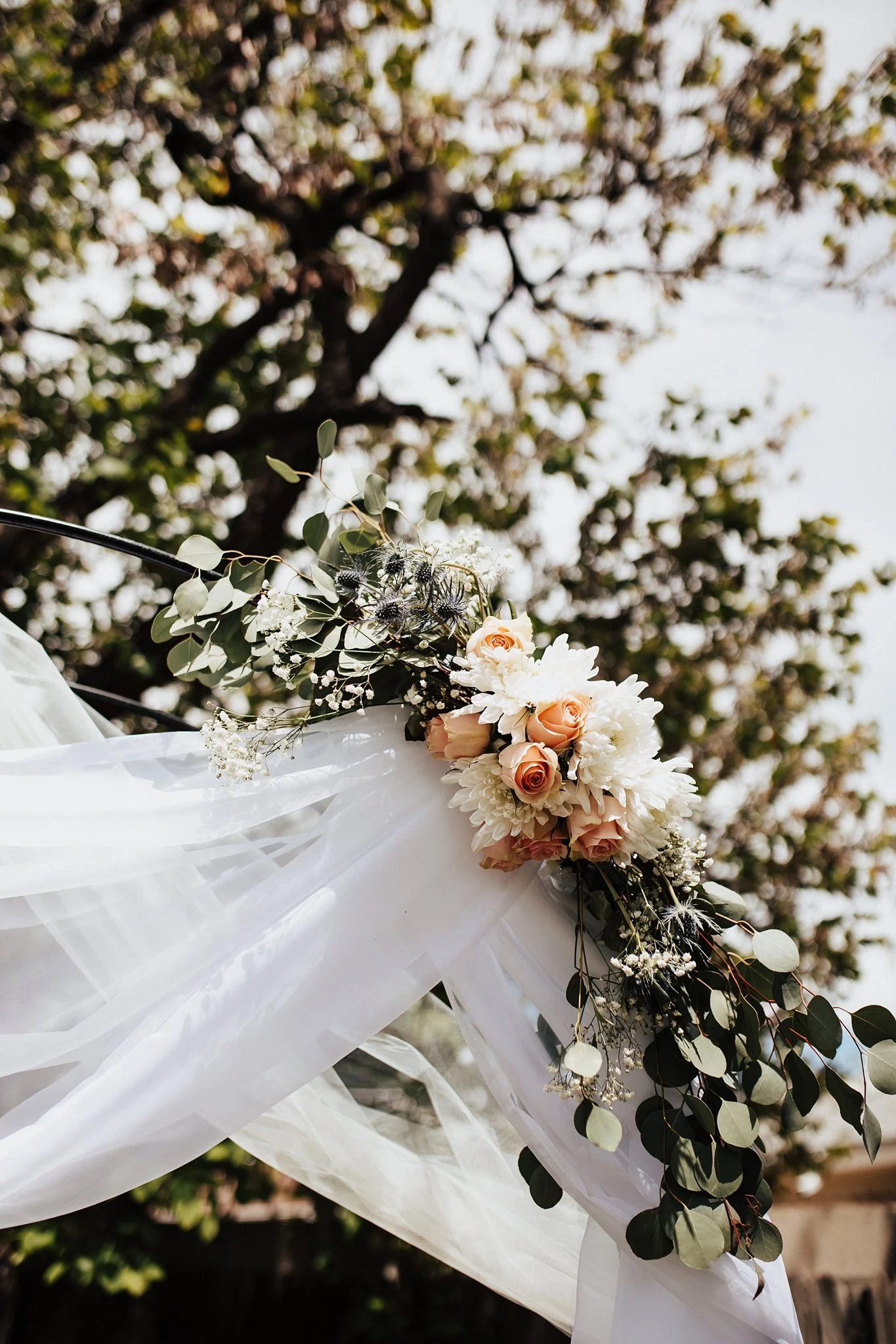 Alicia+lucia+photography+-+backyard+wedding+-+destination+wedding+-+albuquerque+wedding_0029.jpg